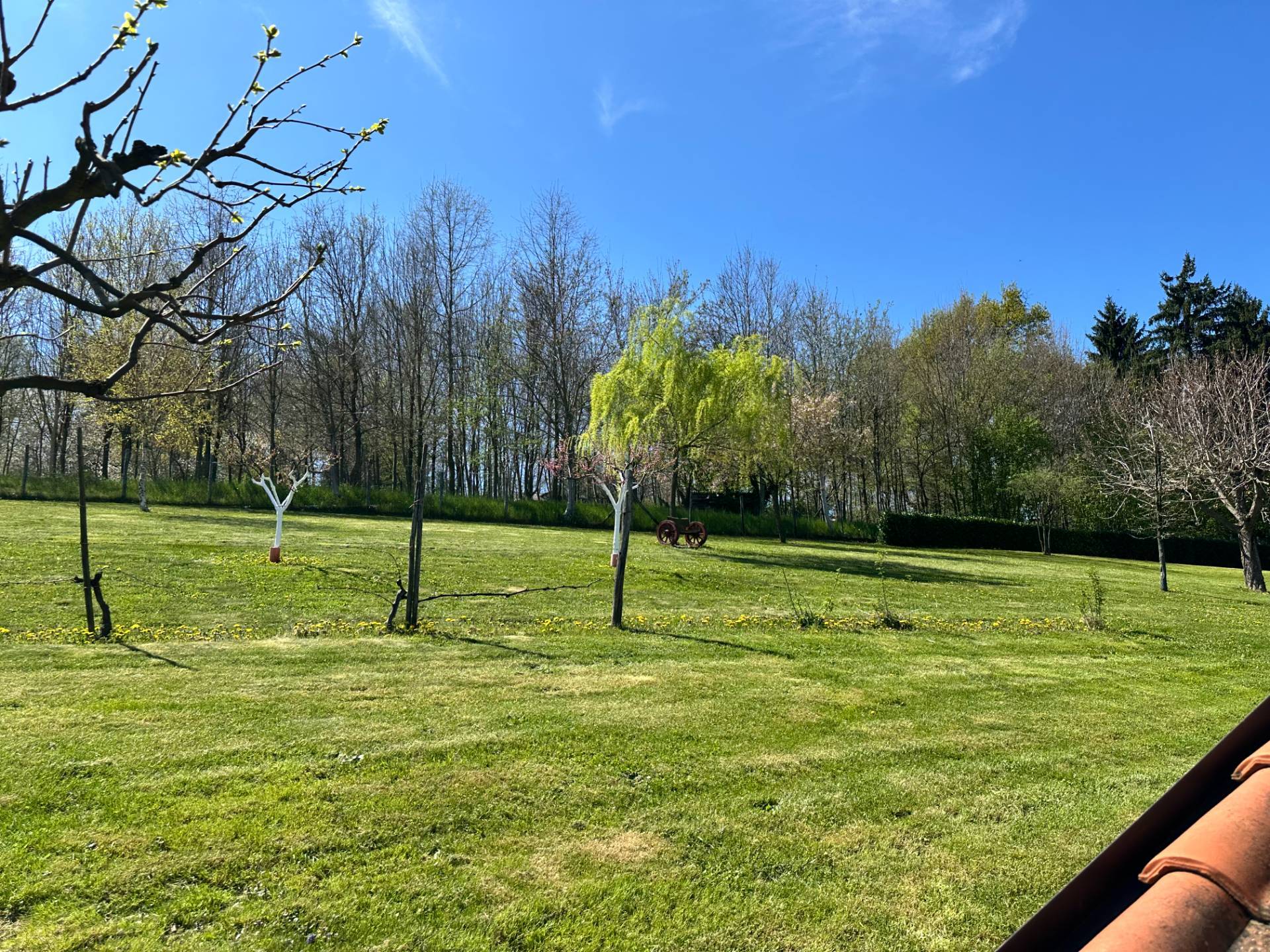 Casa indipendente in vendita a Mondov, Sciolli