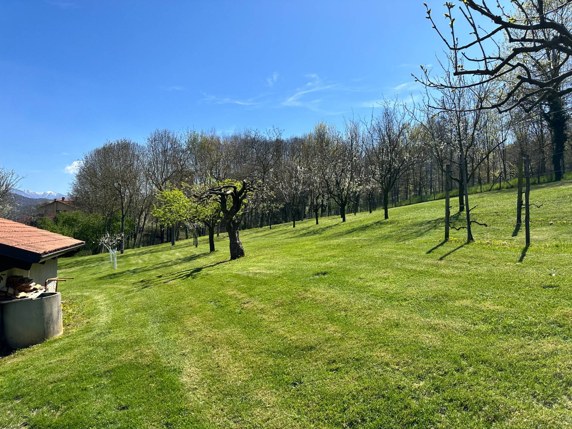 Casa indipendente in vendita a Mondov, Sciolli