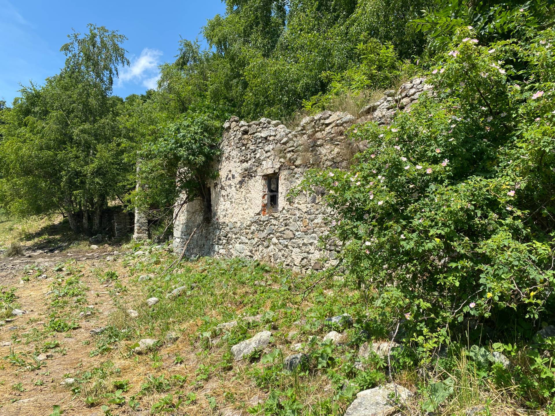 immagine annuncio 3 di 10