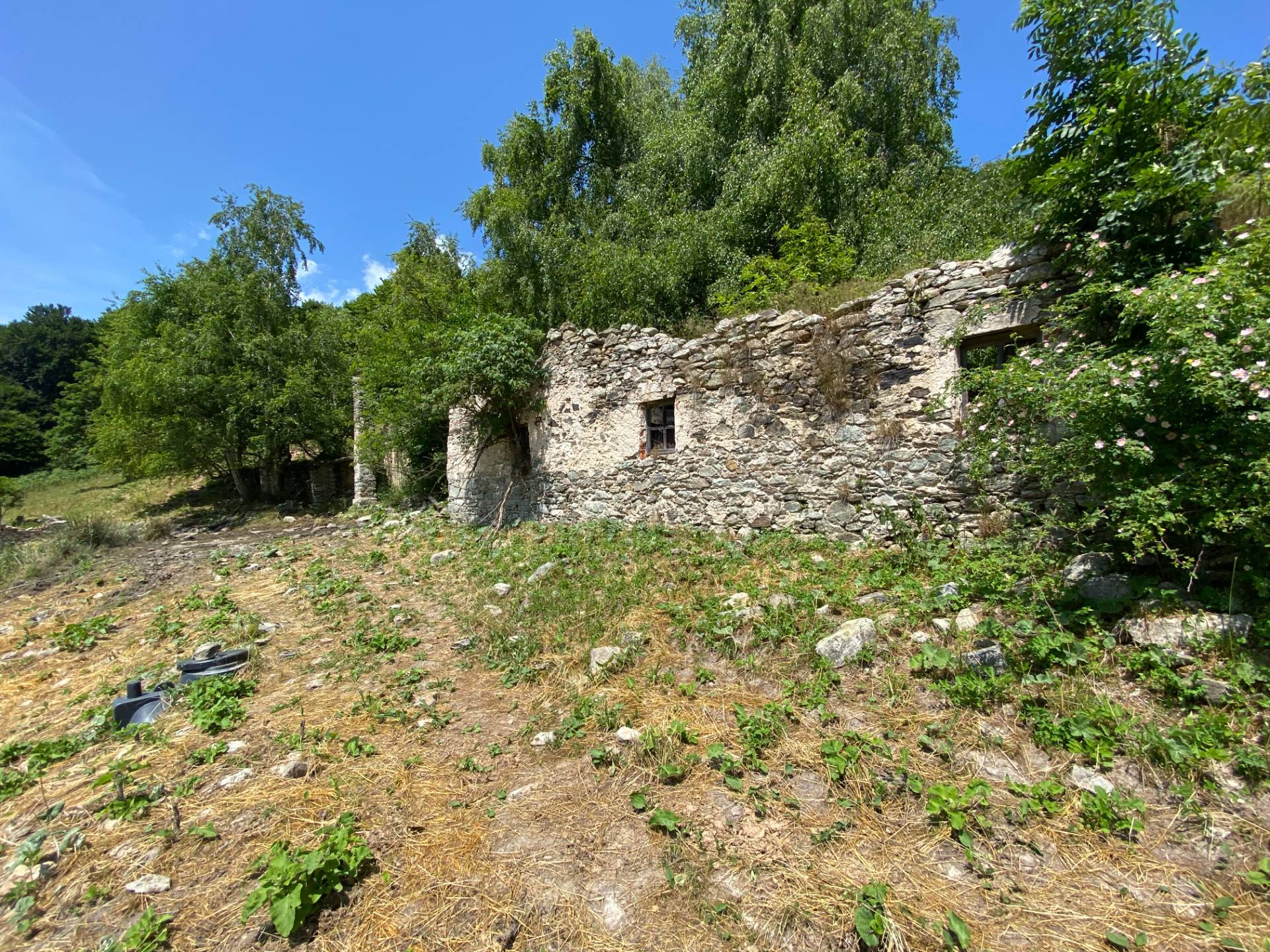 immagine annuncio 6 di 10