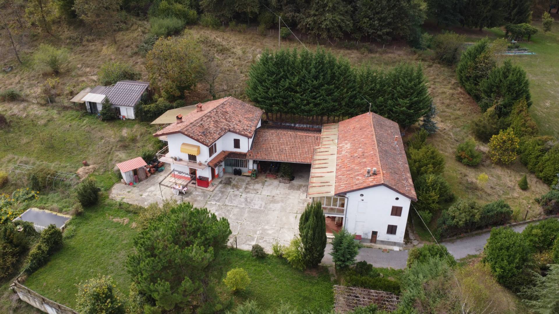 immagine annuncio 3 di 10