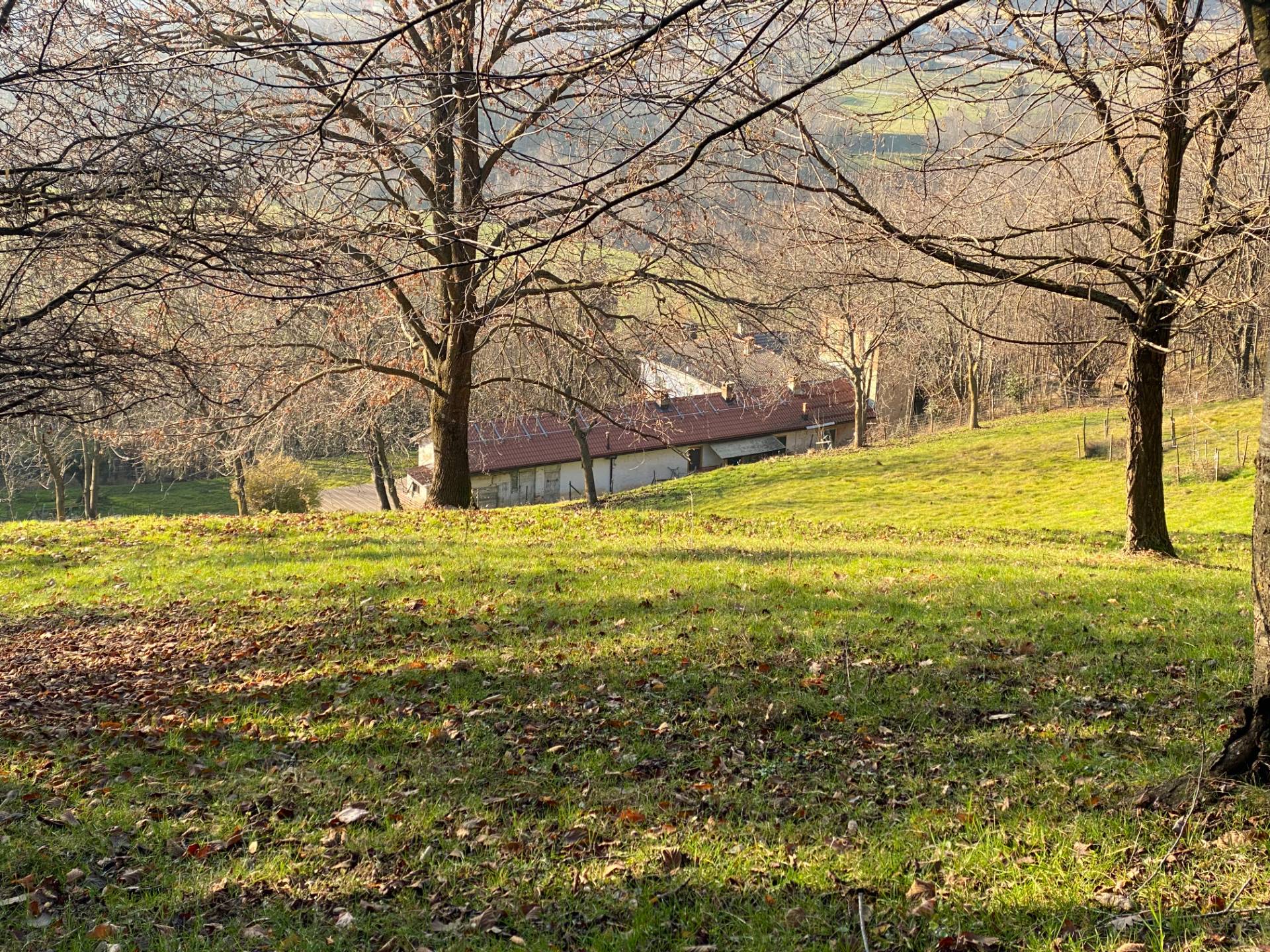 Casa Colonica in vendita a Roccaforte Mondov
