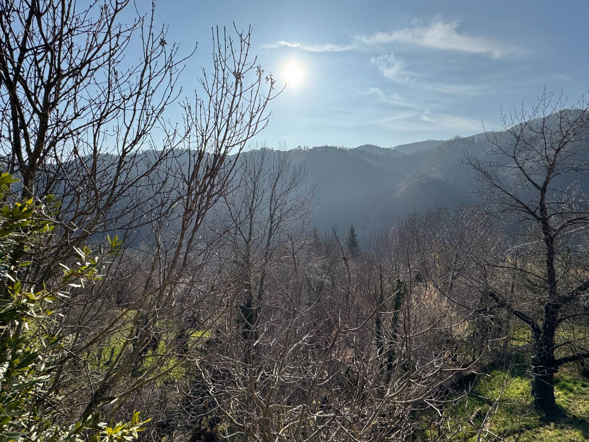 Casa indipendente in vendita a Montaldo di Mondov