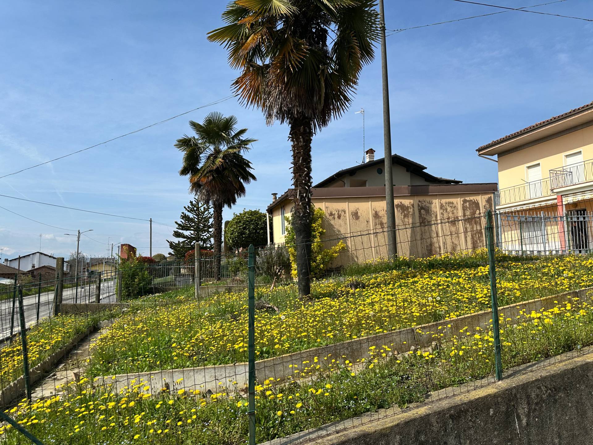 Casa indipendente in vendita a Magliano Alpi