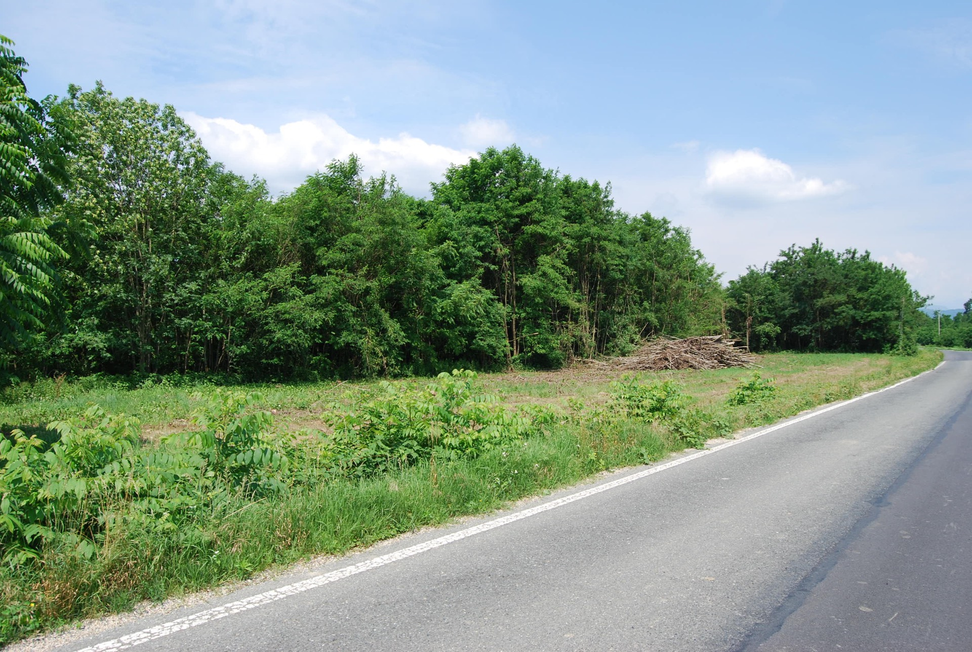 Terreno in vendita, Cumiana campagna