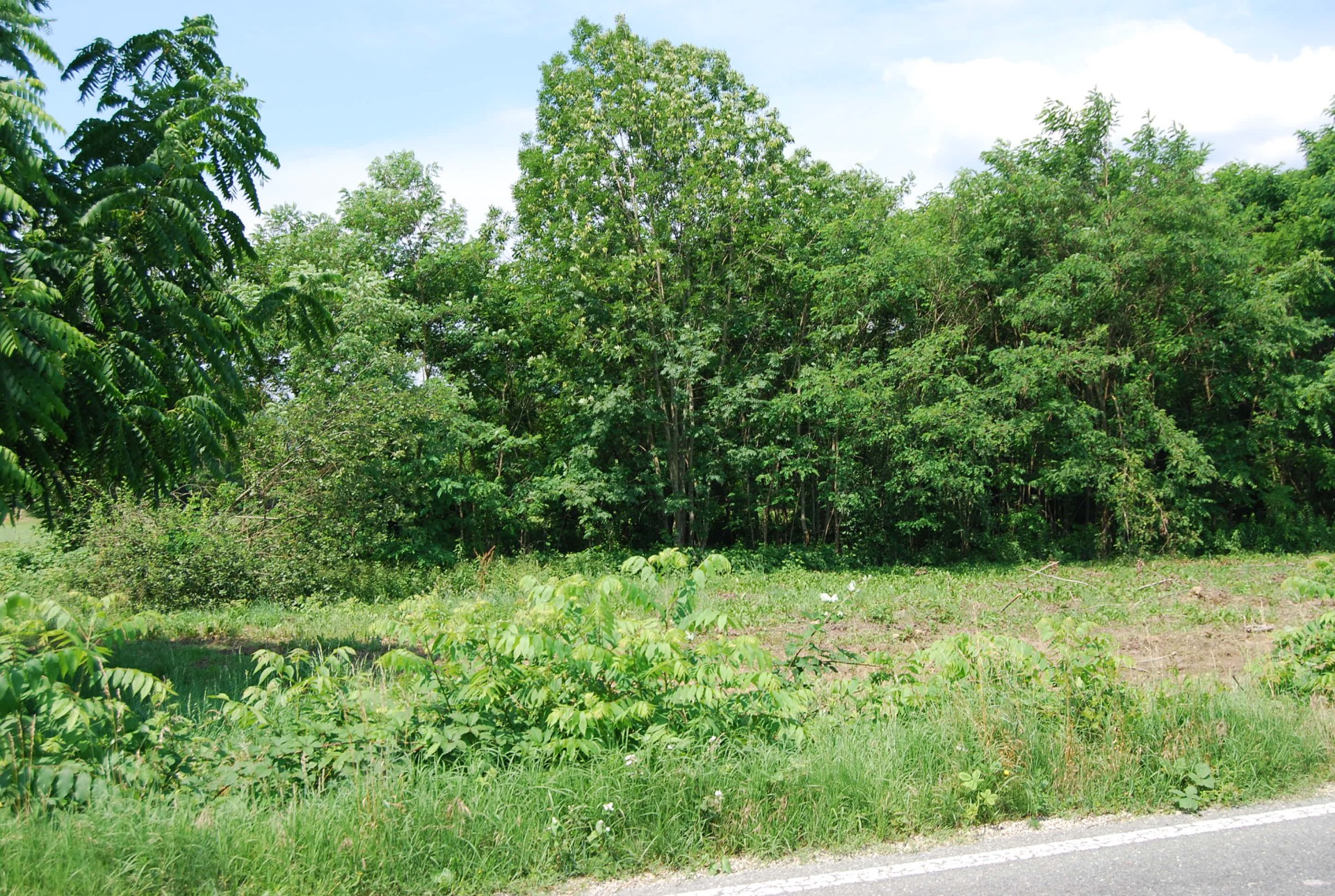 Terreno Agricolo in vendita a Cumiana, Campagna