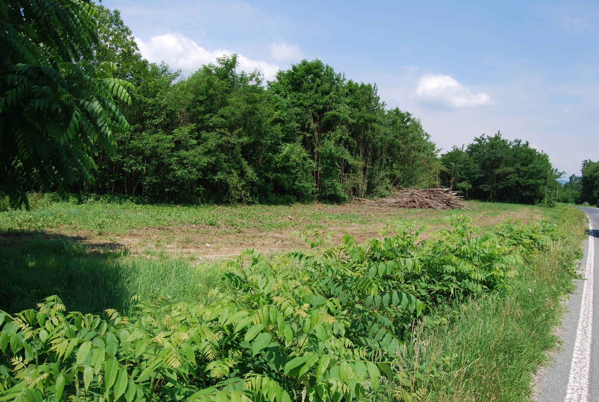 Terreno Agricolo in vendita a Cumiana, Campagna