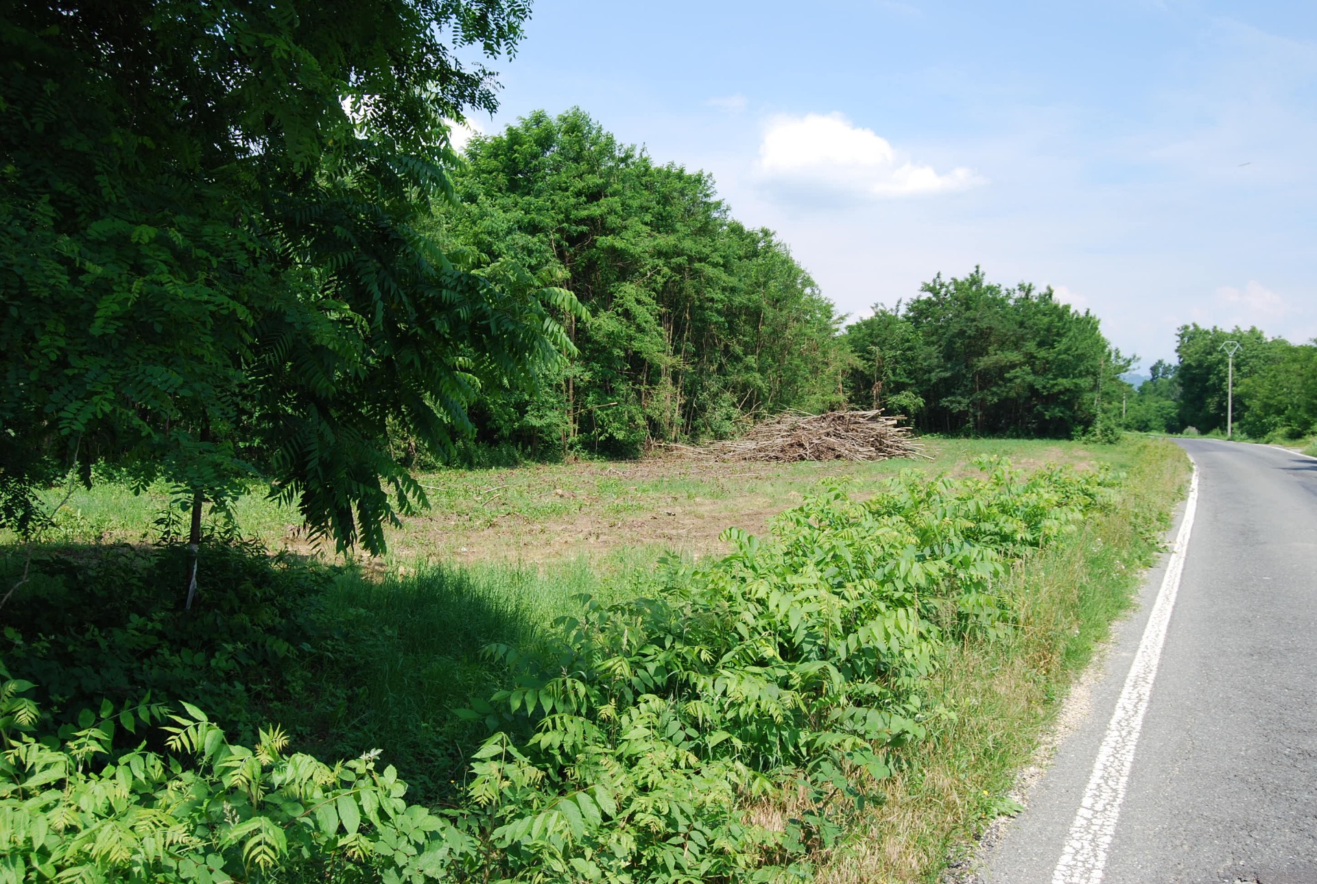 Terreno Agricolo in vendita a Cumiana, Campagna