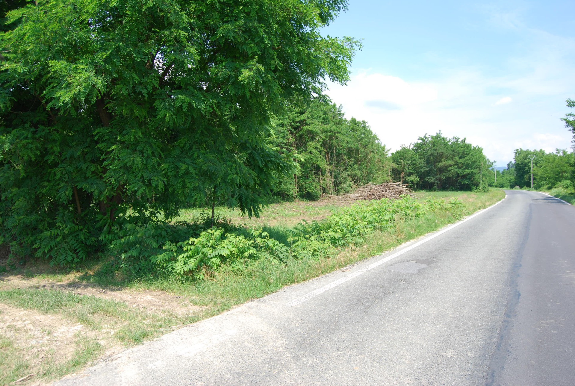 Terreno Agricolo in vendita a Cumiana, Campagna