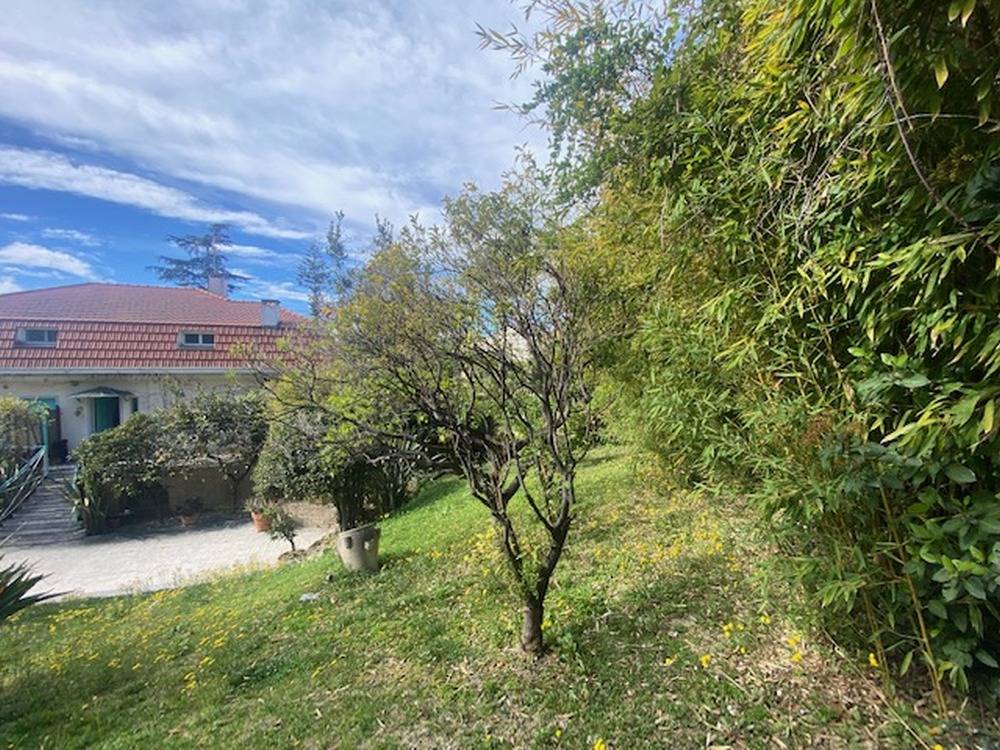 Appartamento in affitto a Sanremo