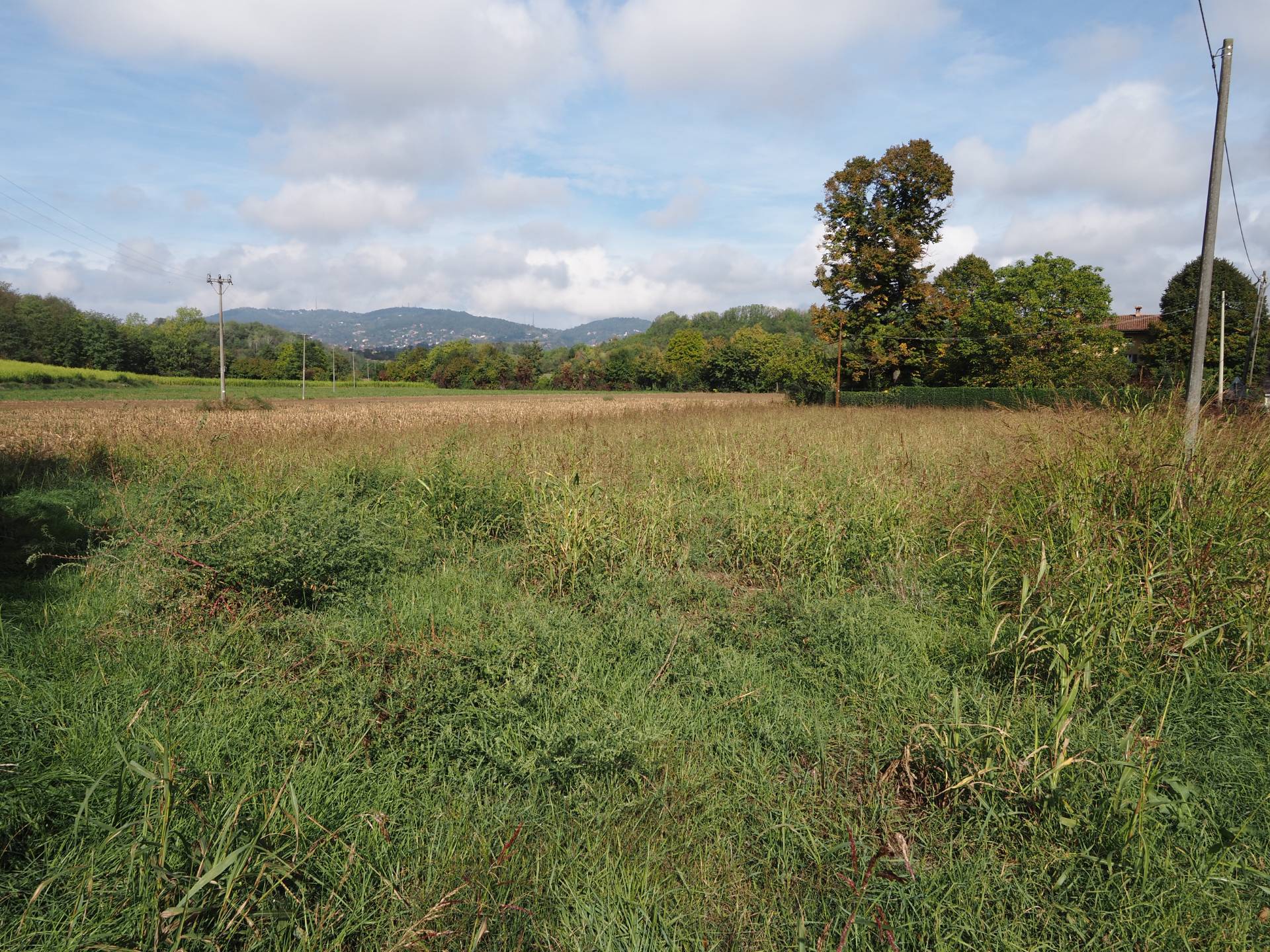Terreno residenziale in vendita a Cambiano, Madonna Della Scala