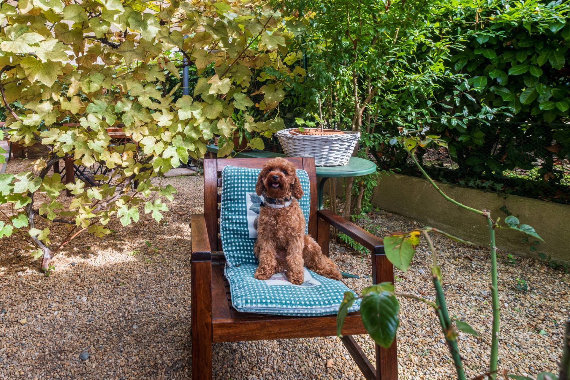 Appartamento in vendita a Torino, Cavoretto - Pilonetto