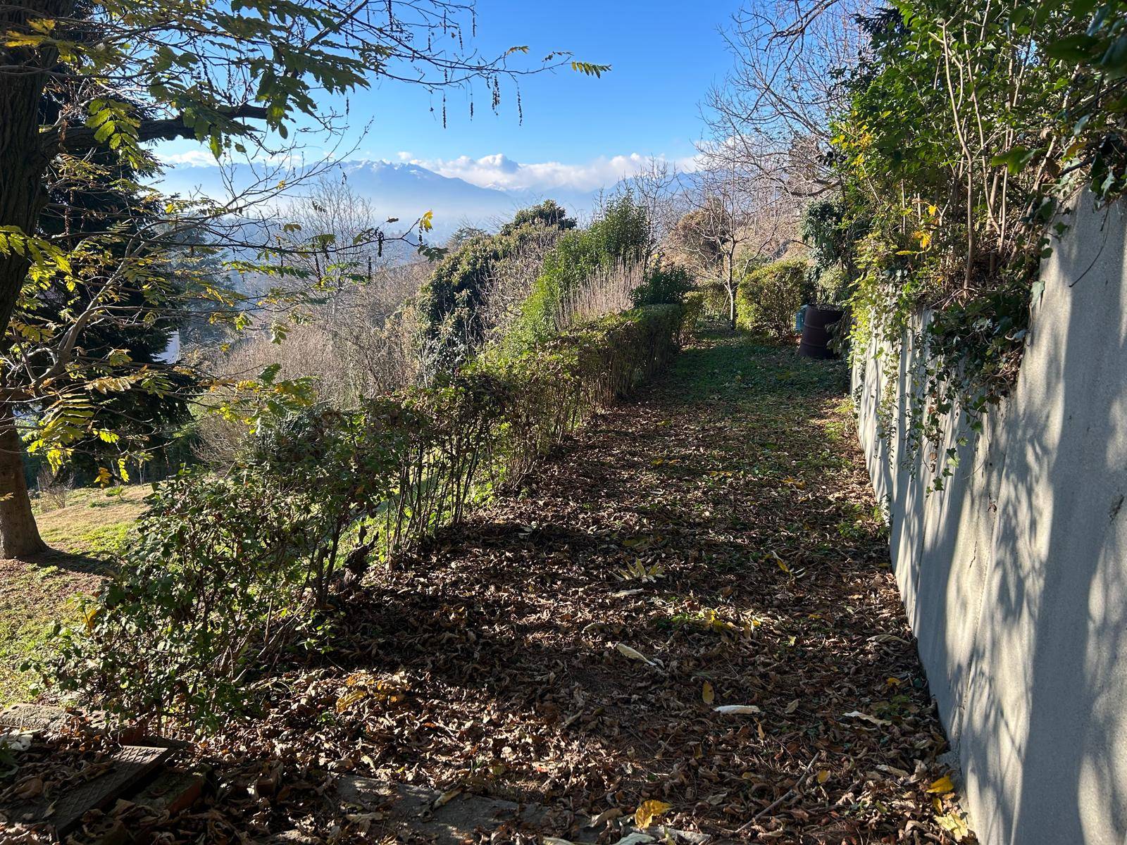 Appartamento in affitto a Torino, Precollina