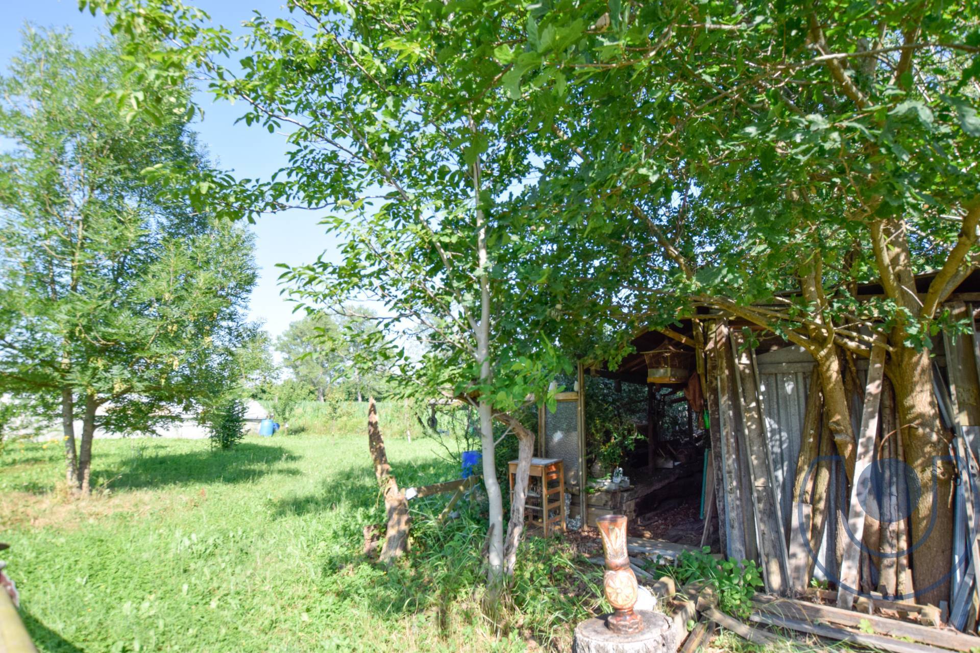 Terreno Agricolo in vendita a Andezeno, Corso Vittorio Emanuele