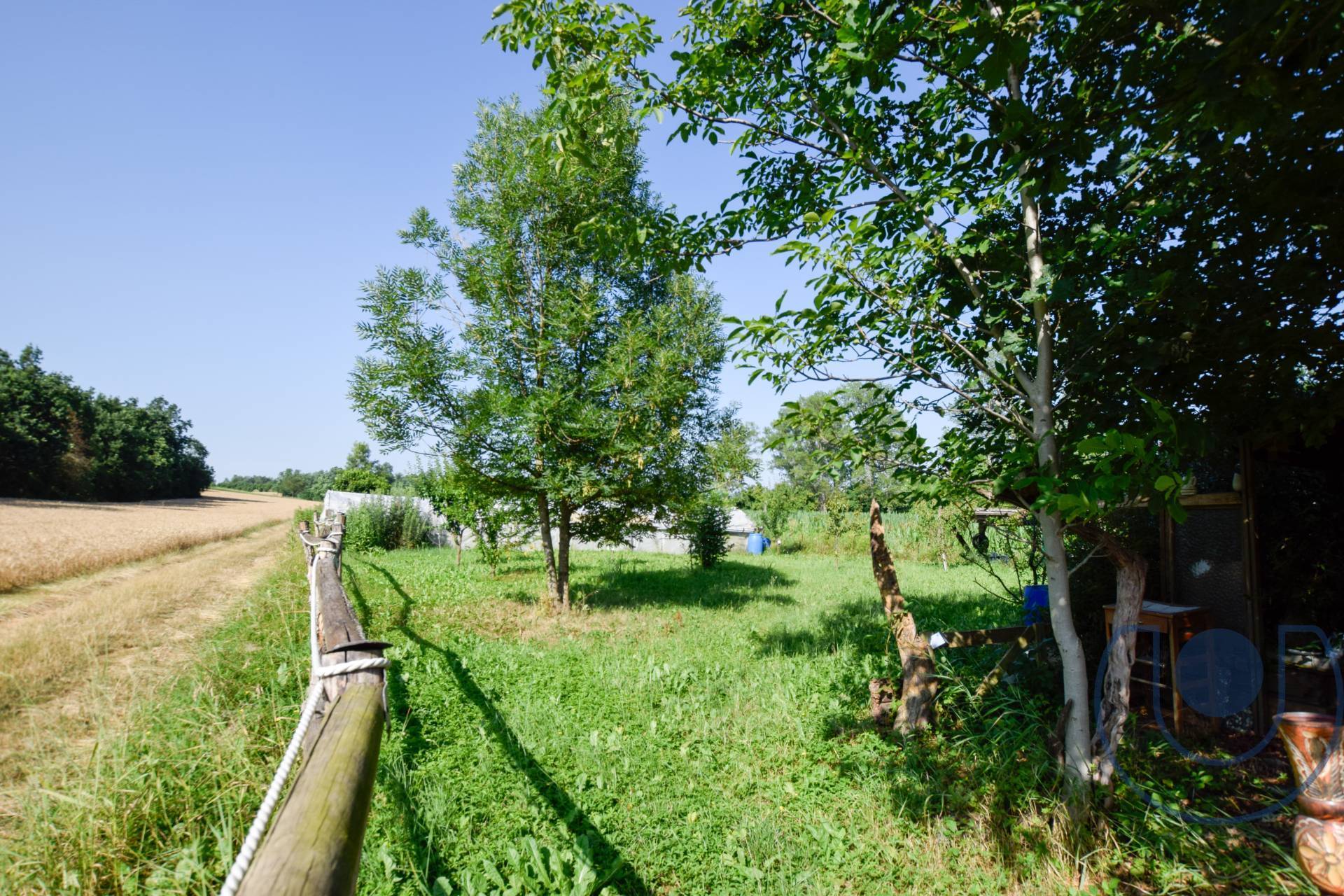 Terreno Agricolo in vendita a Andezeno, Corso Vittorio Emanuele