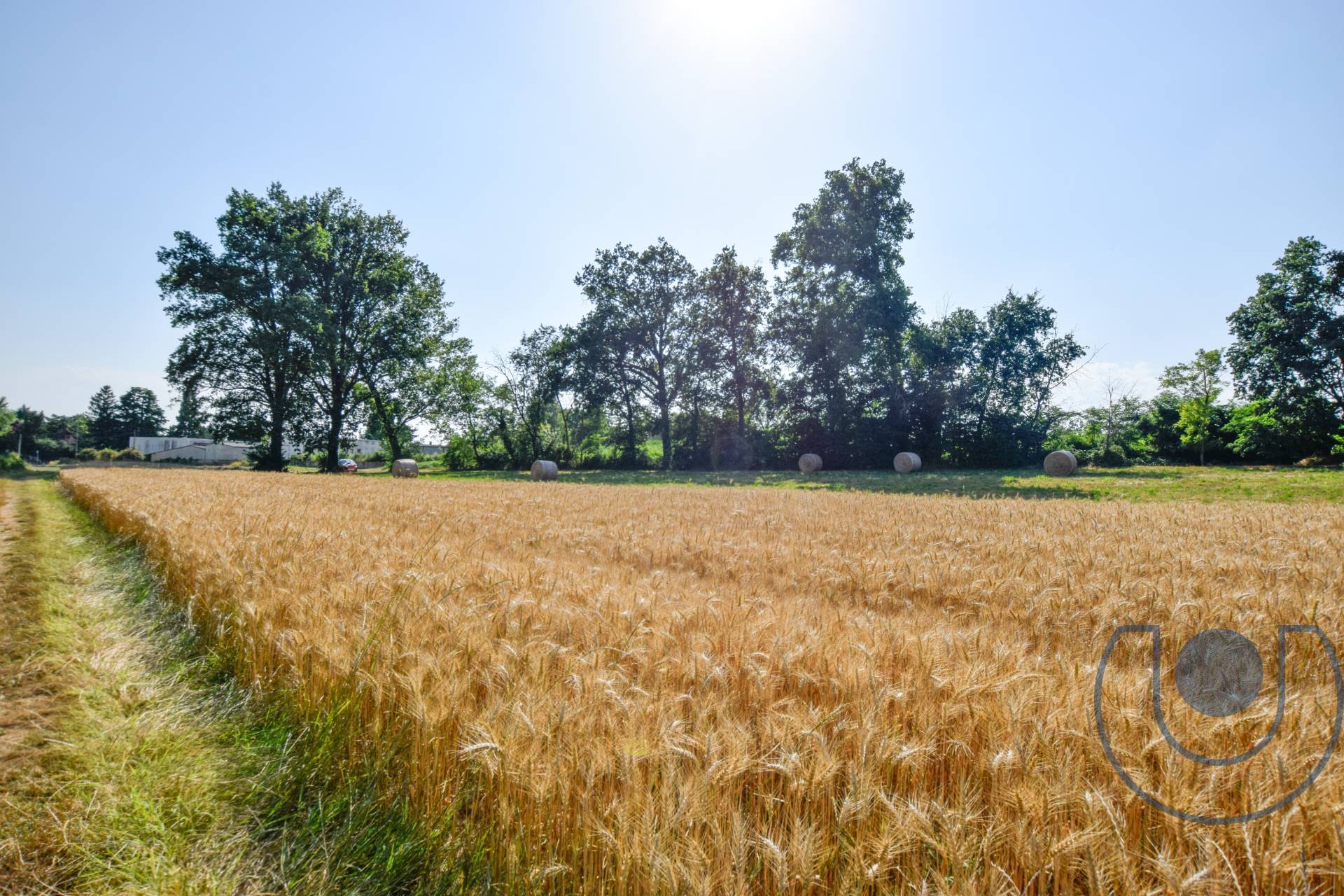 Terreno Agricolo in vendita a Andezeno, Corso Vittorio Emanuele