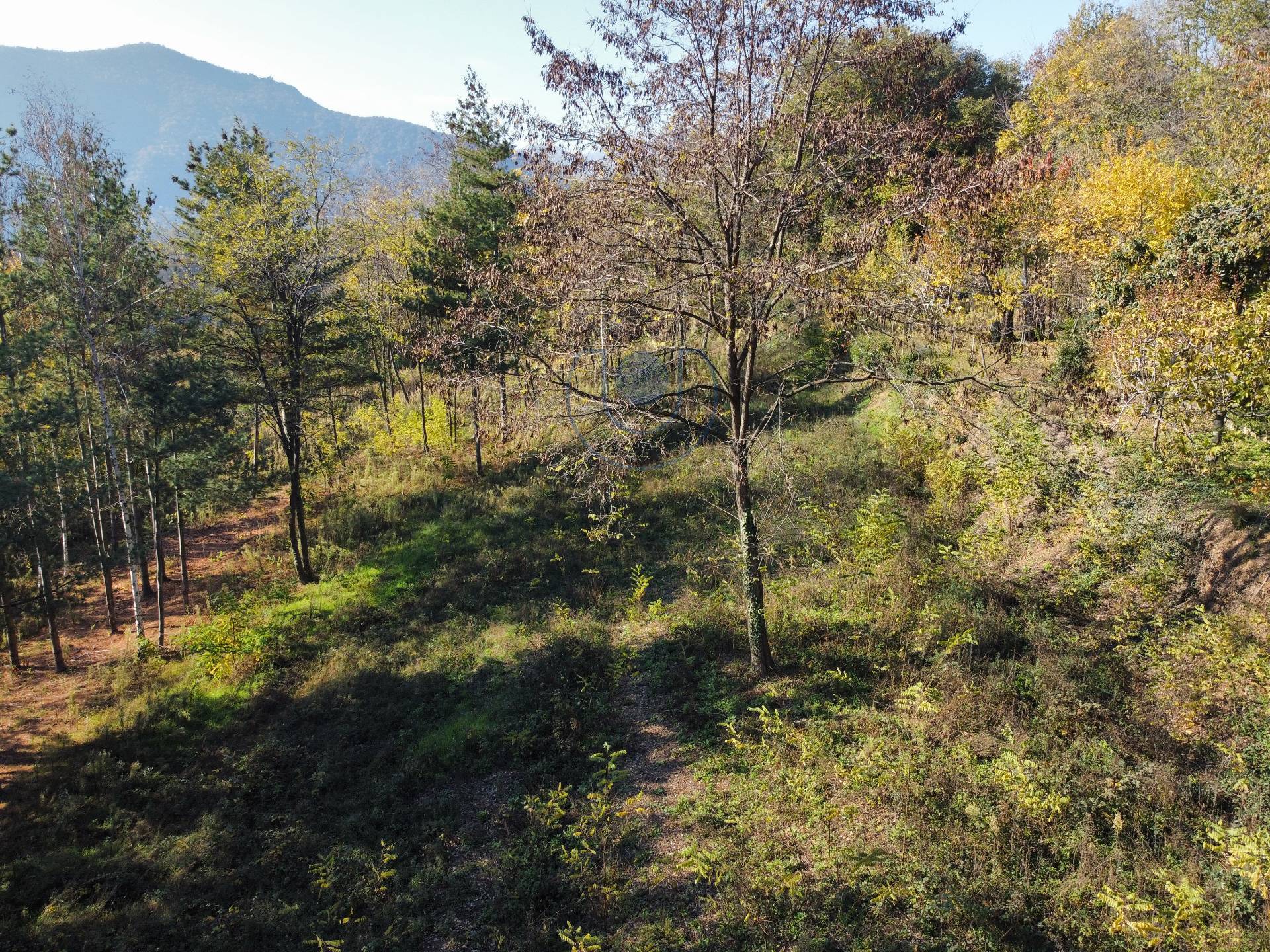 Terreno Agricolo in vendita a Villarbasse, Villarbasse