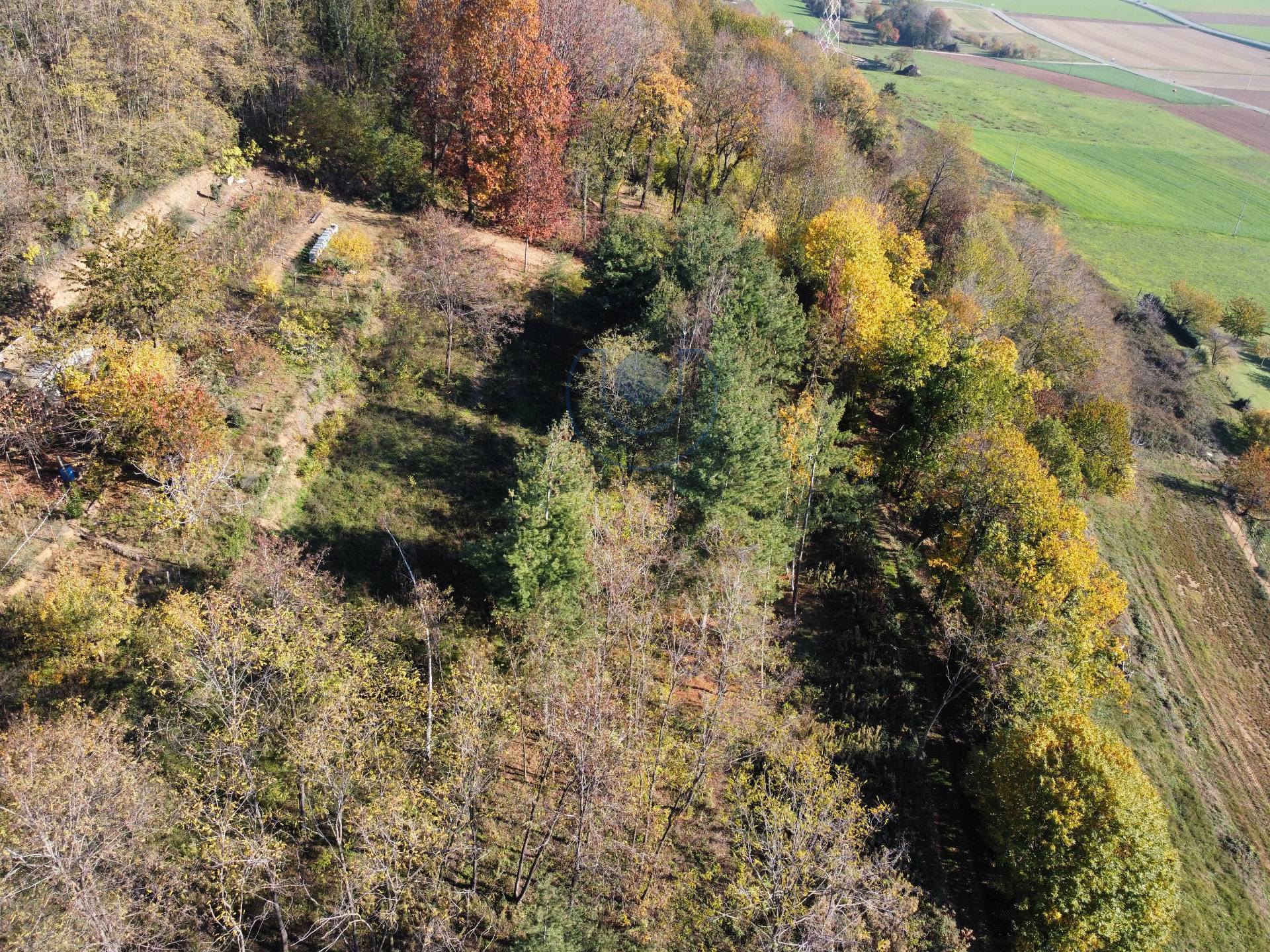 Terreno Agricolo in vendita a Villarbasse, Villarbasse