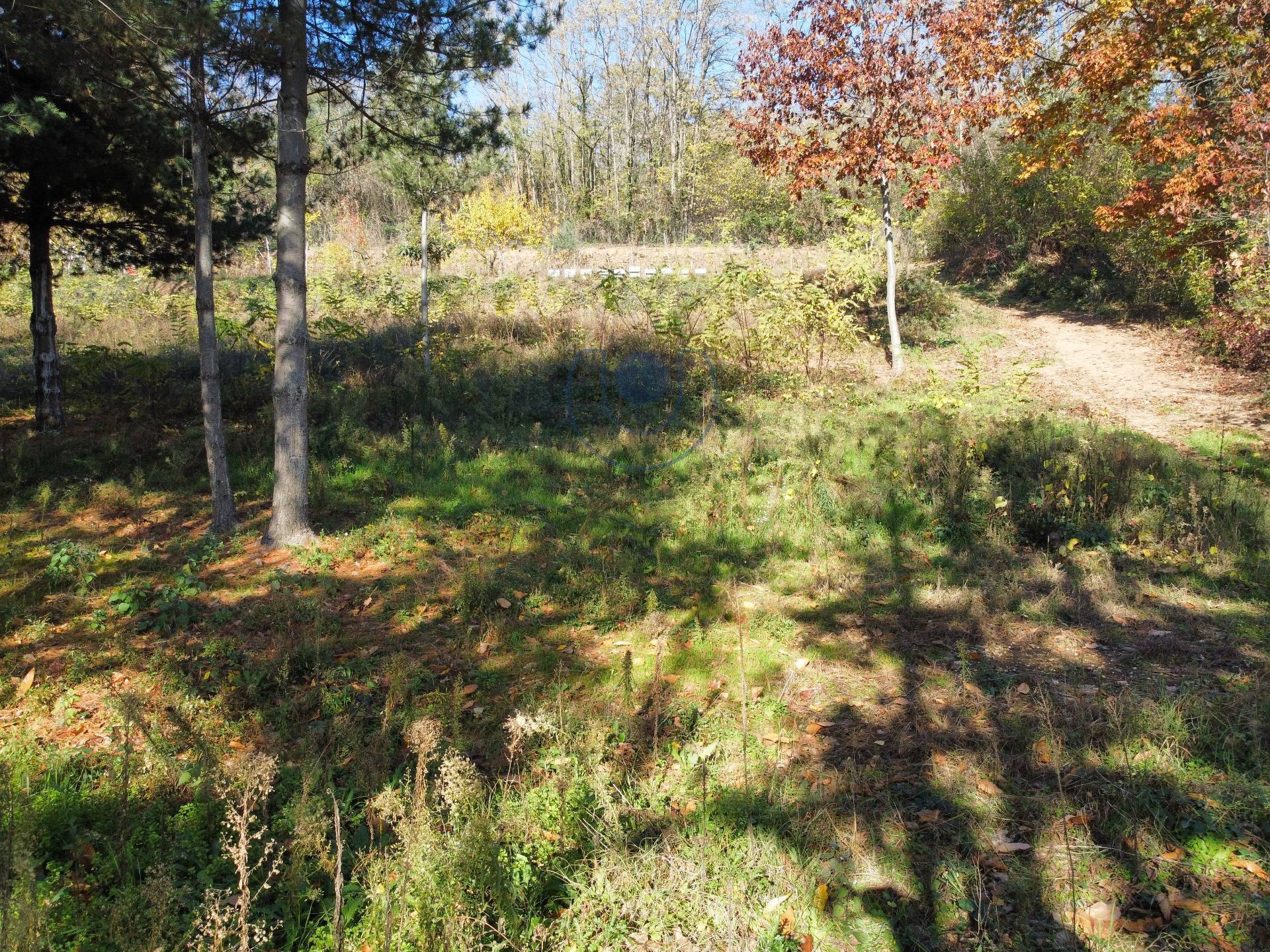 Terreno Agricolo in vendita a Villarbasse, Villarbasse