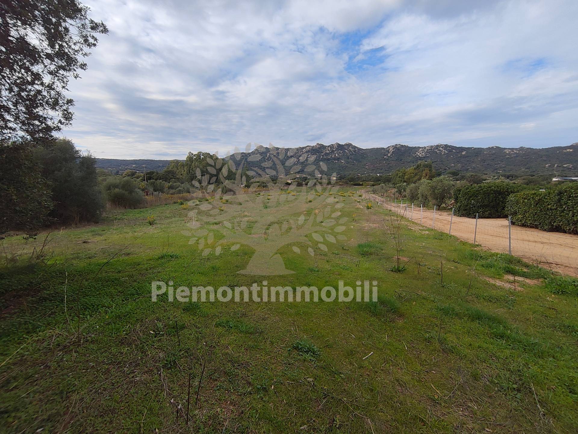 Terreno residenziale in vendita a Monti