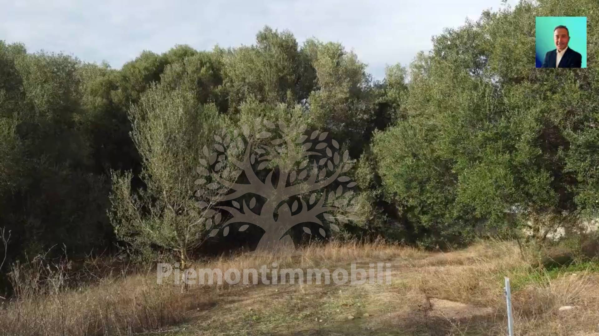 Terreno residenziale in vendita a Monti