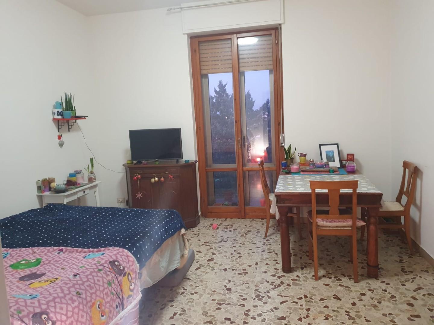 Bilocale arredato in affitto, Pontedera il romito