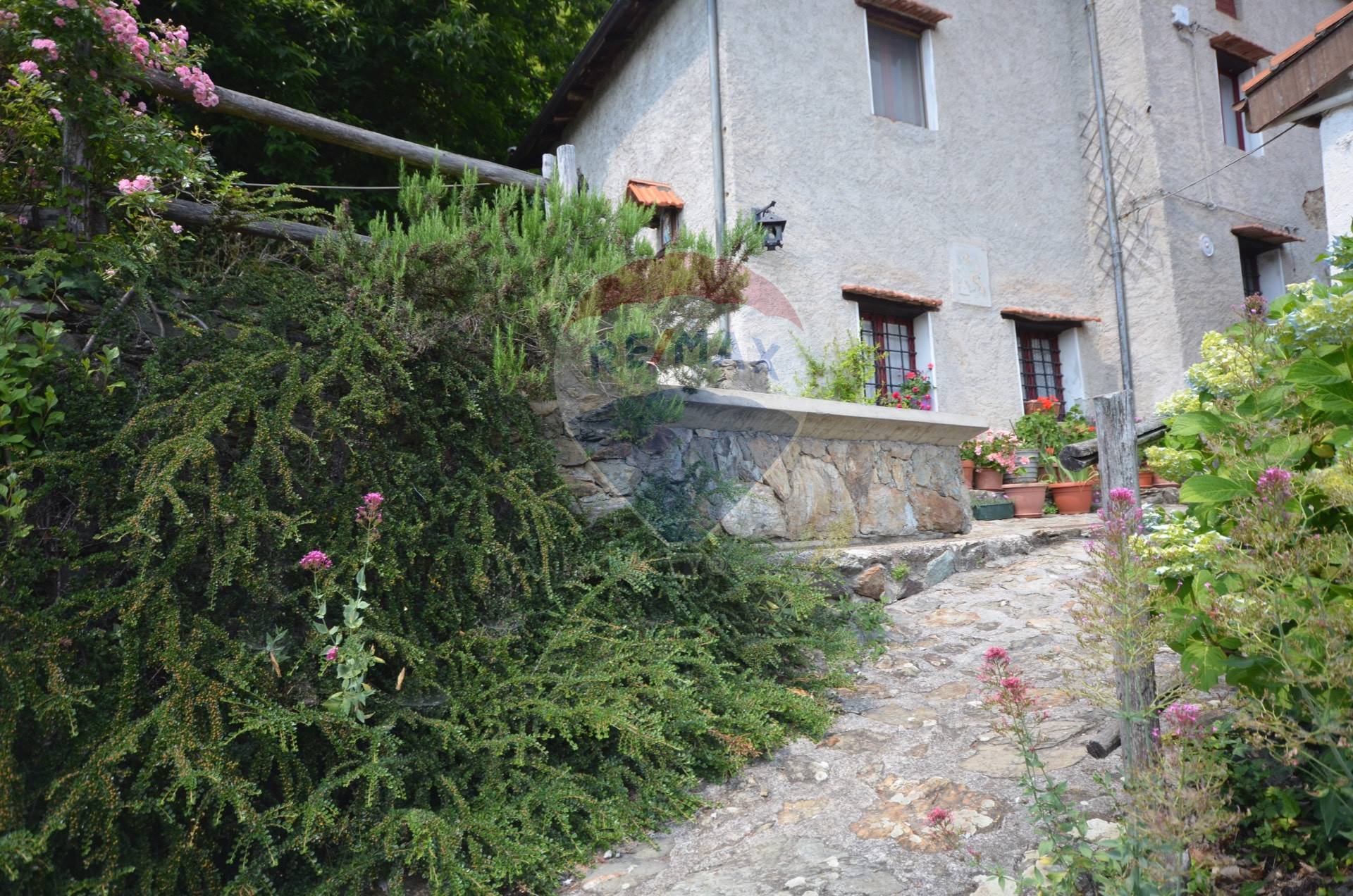 immagine annuncio 5 di 6