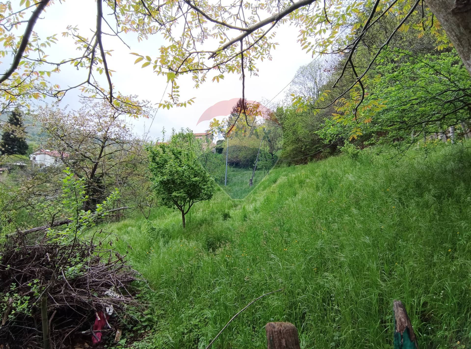 Casa Semindipendente in vendita a Murialdo