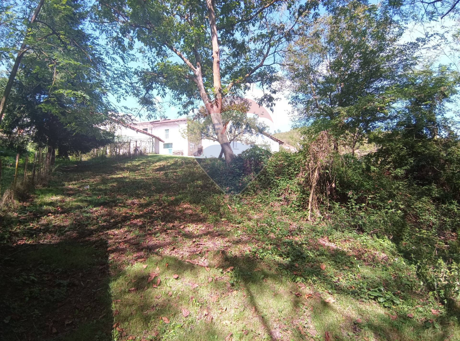 Altro in vendita a Dego, Botta