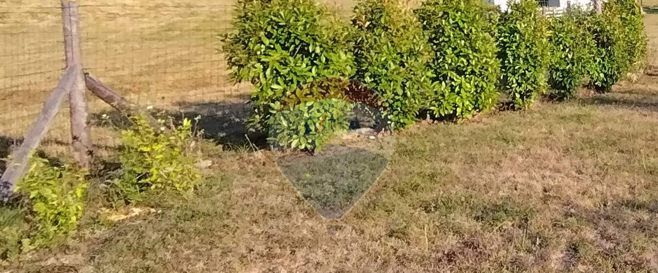 Terreno Edificabile in vendita a Mioglia