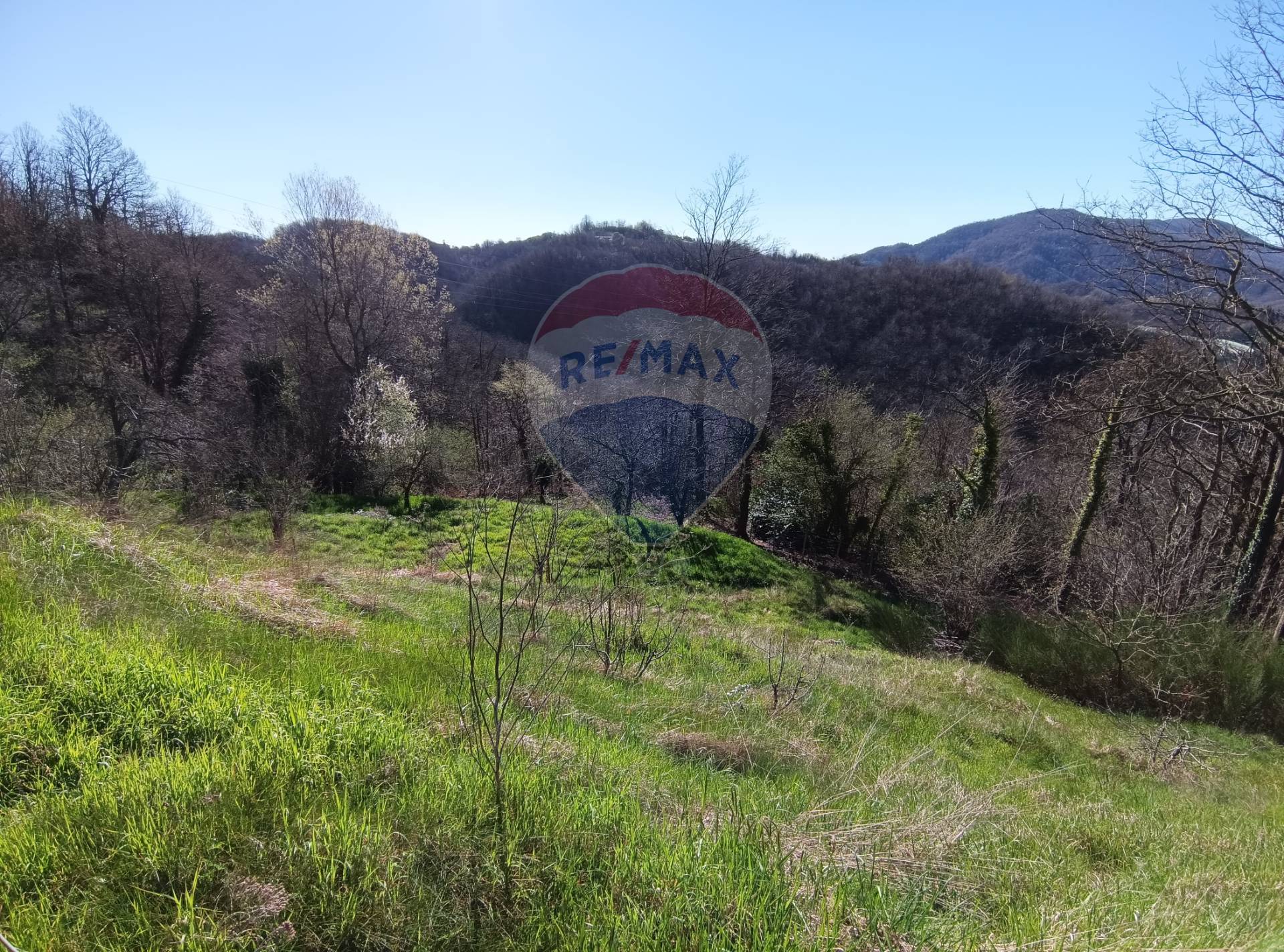 Casa Semindipendente in vendita a Altare