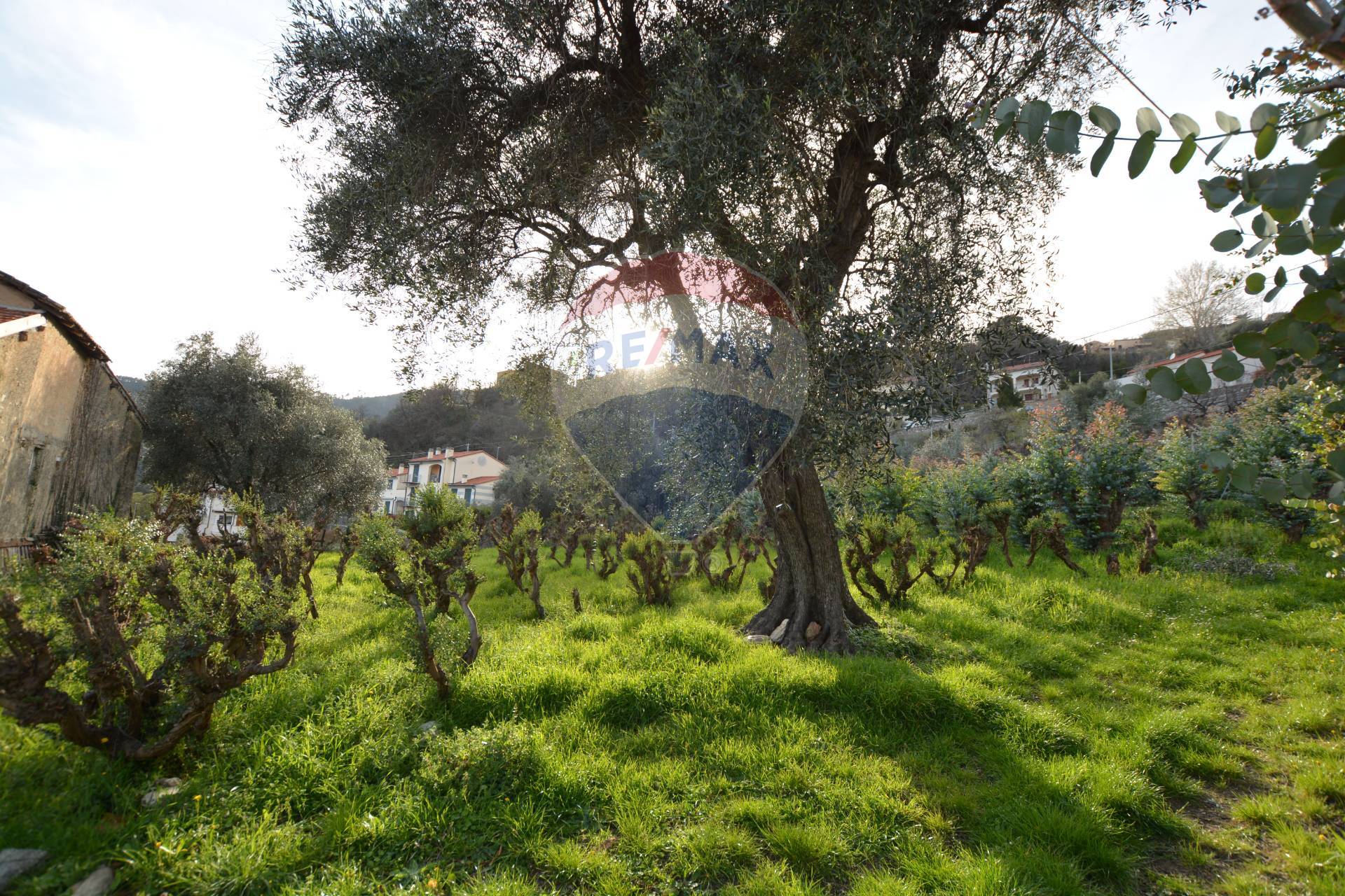 Rustico in vendita a Magliolo