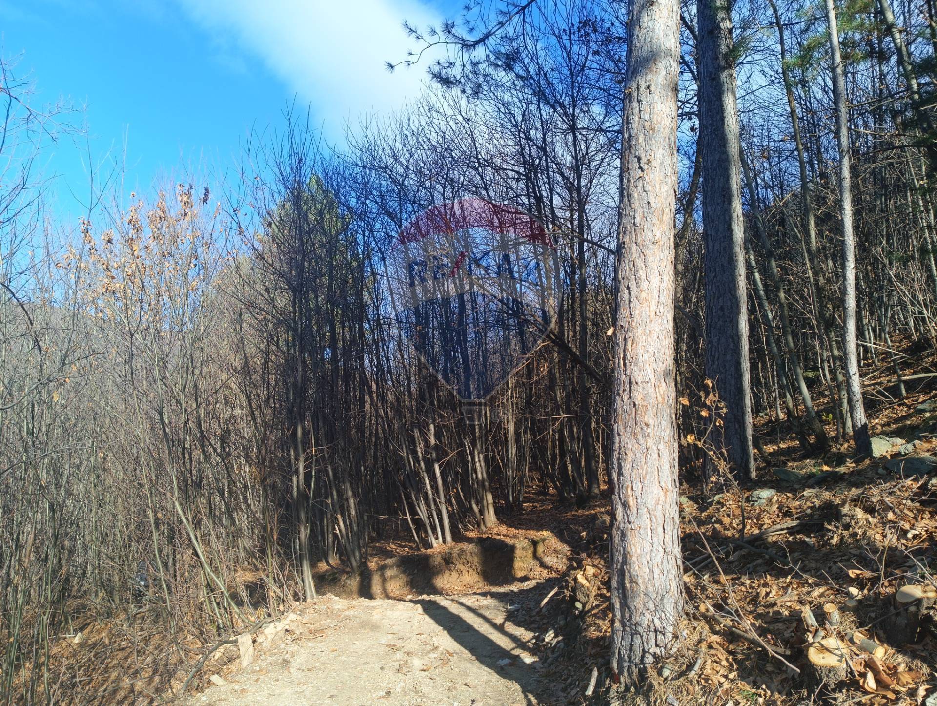Terreno in vendita a Bormida