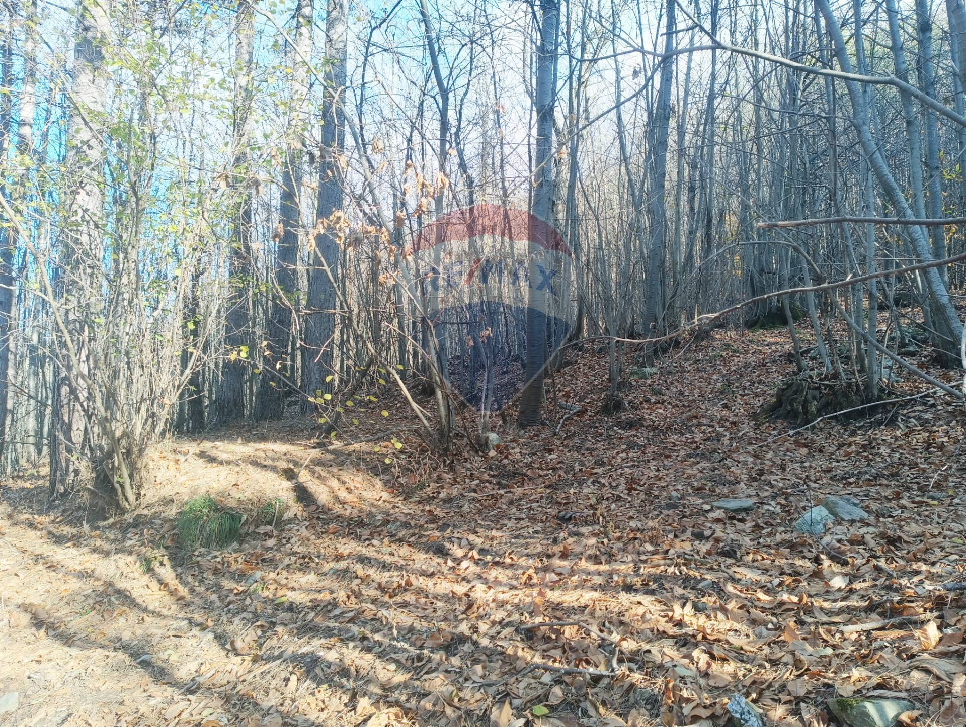 Terreno in vendita a Bormida