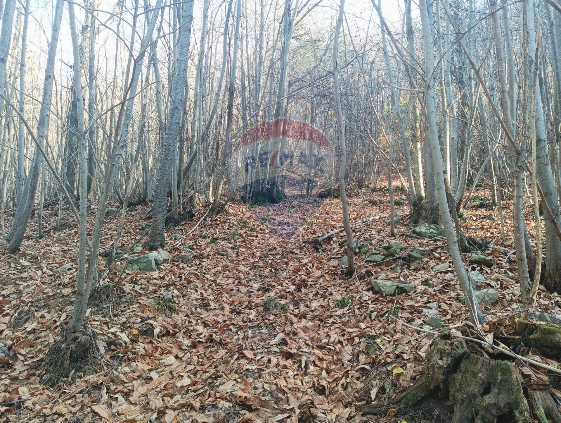 Terreno in vendita a Bormida