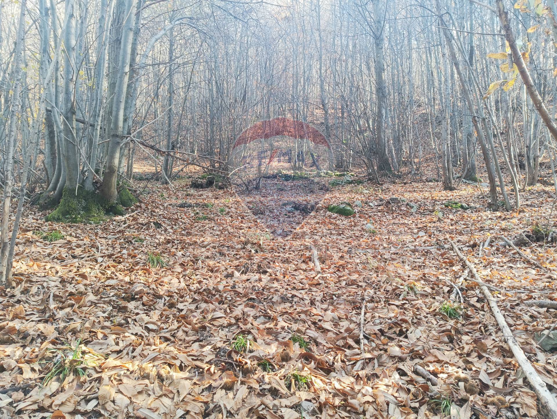 Terreno in vendita a Bormida