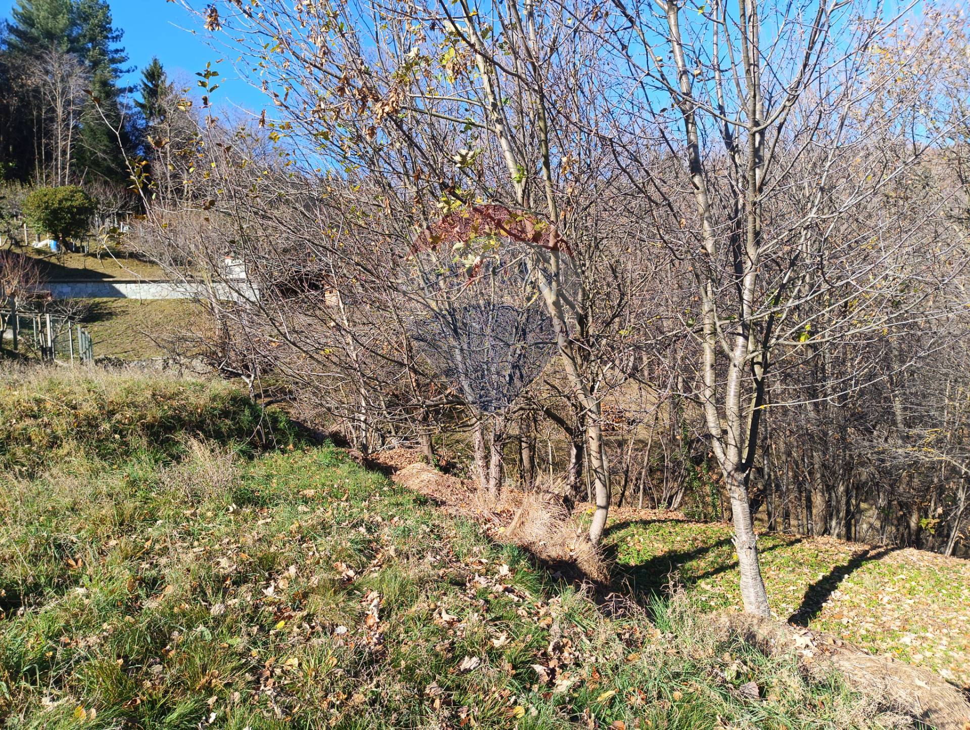 Magazzino in vendita a Bormida