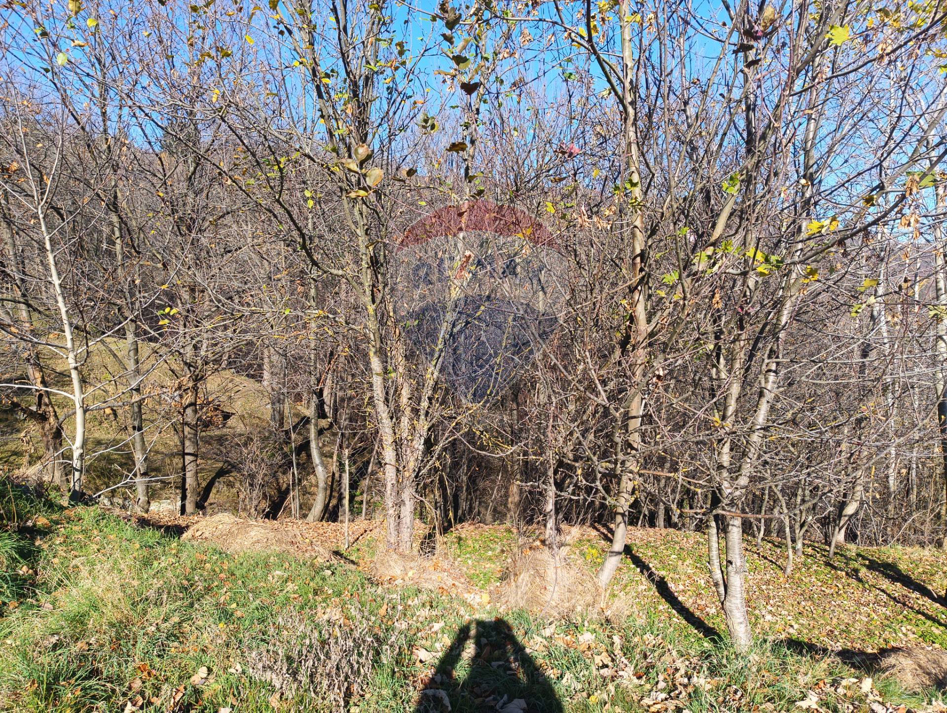 Magazzino in vendita a Bormida