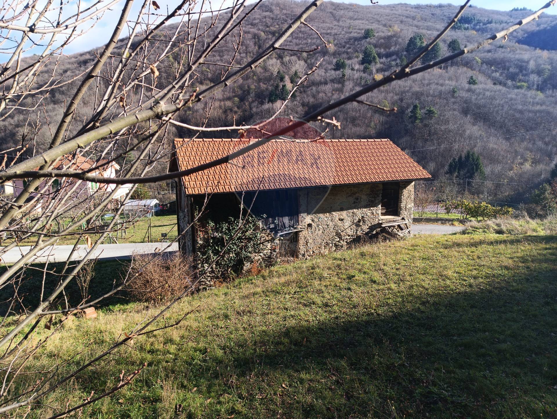 Altro in vendita a Bormida