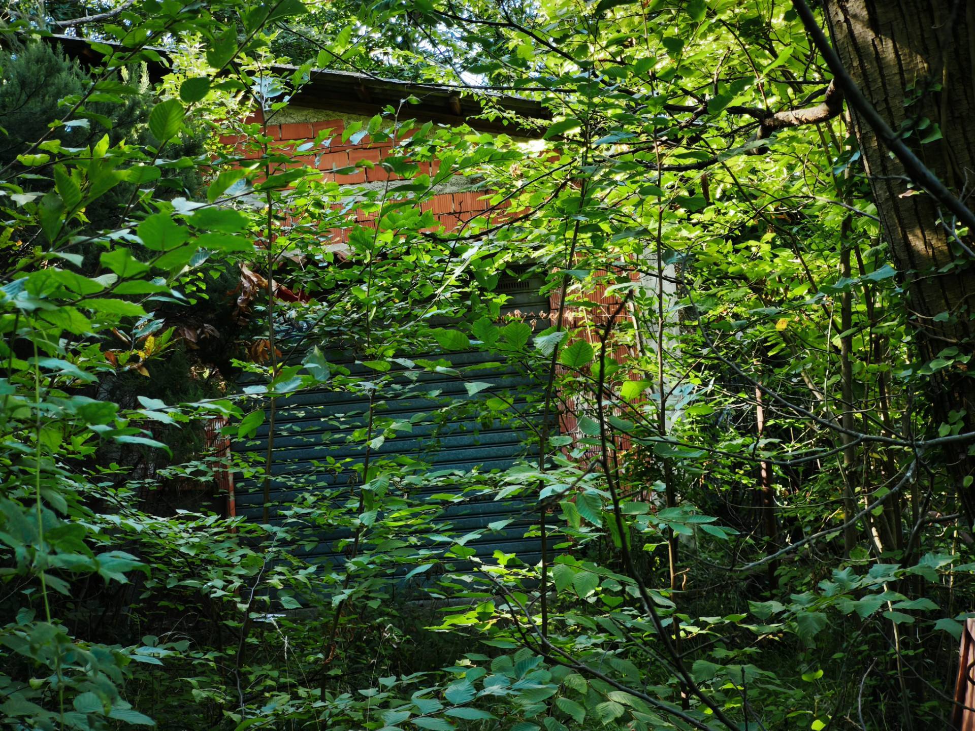 Magazzino in vendita a Stella