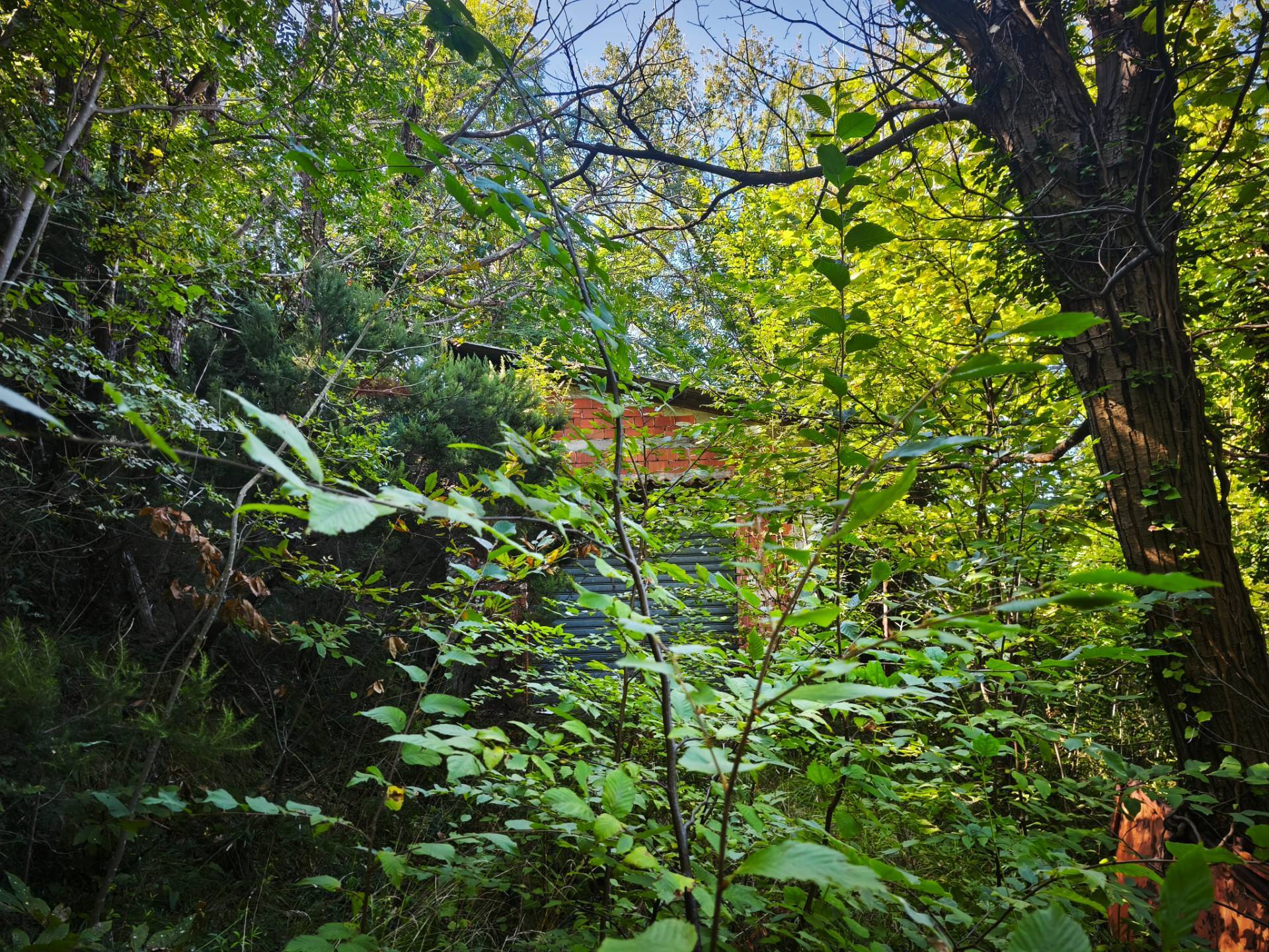 Magazzino in vendita a Stella