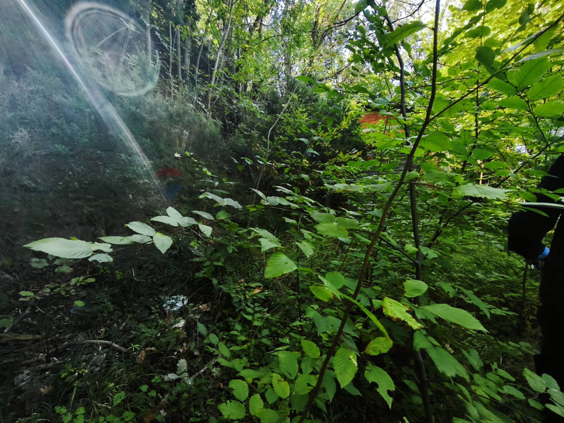 Magazzino in vendita a Stella