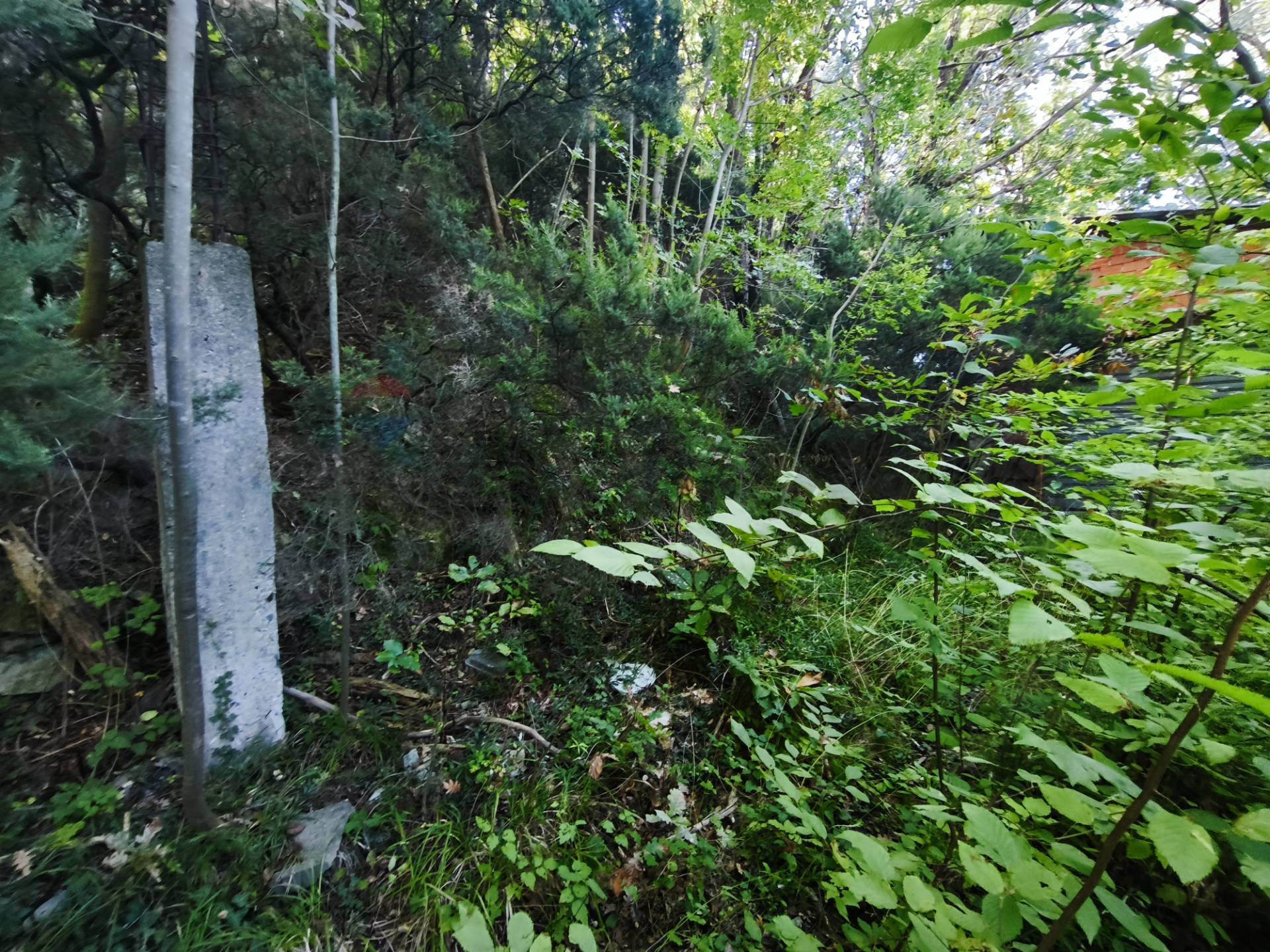 Magazzino in vendita a Stella