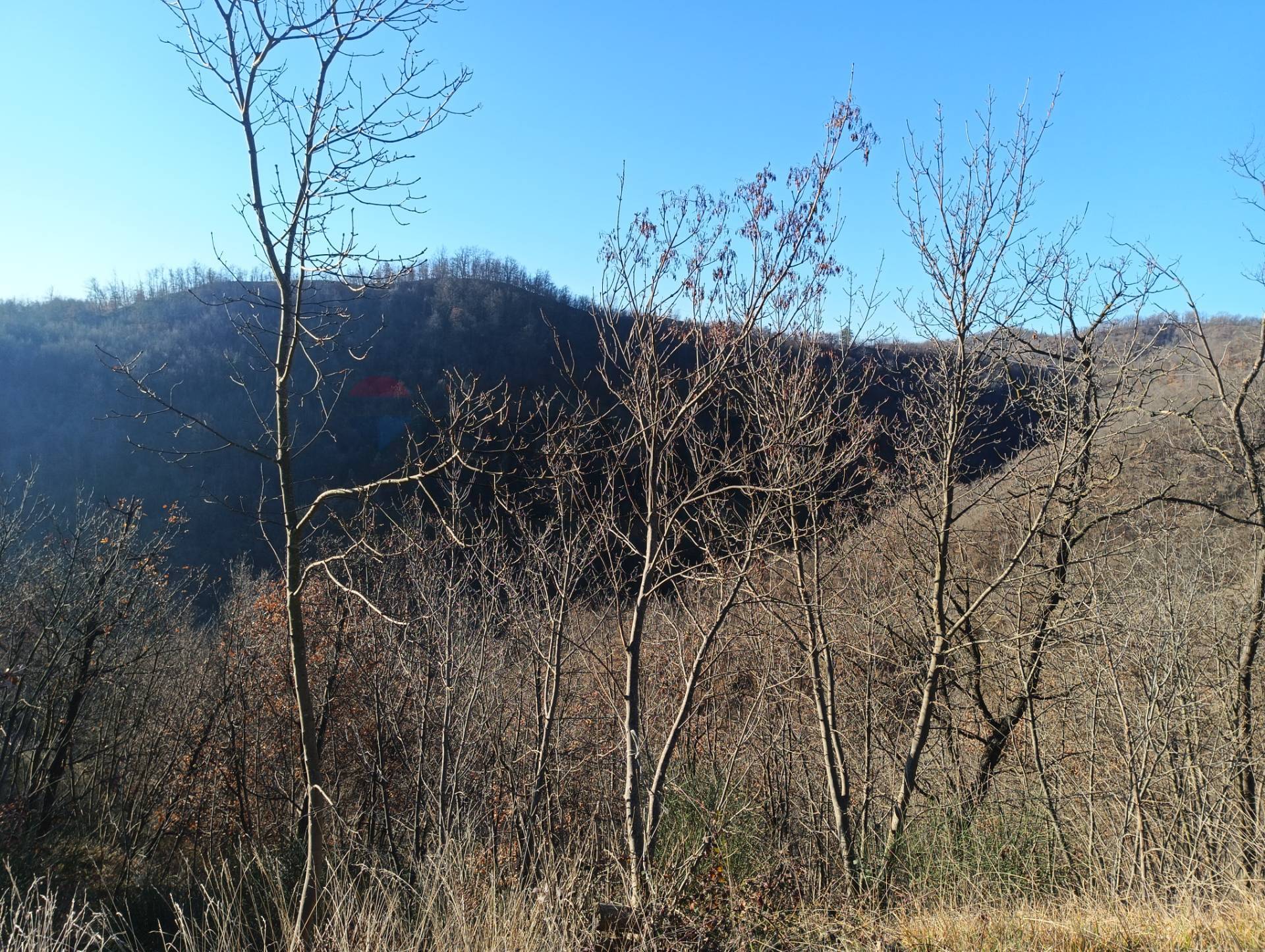 Cascina/Casale in vendita a Cairo Montenotte