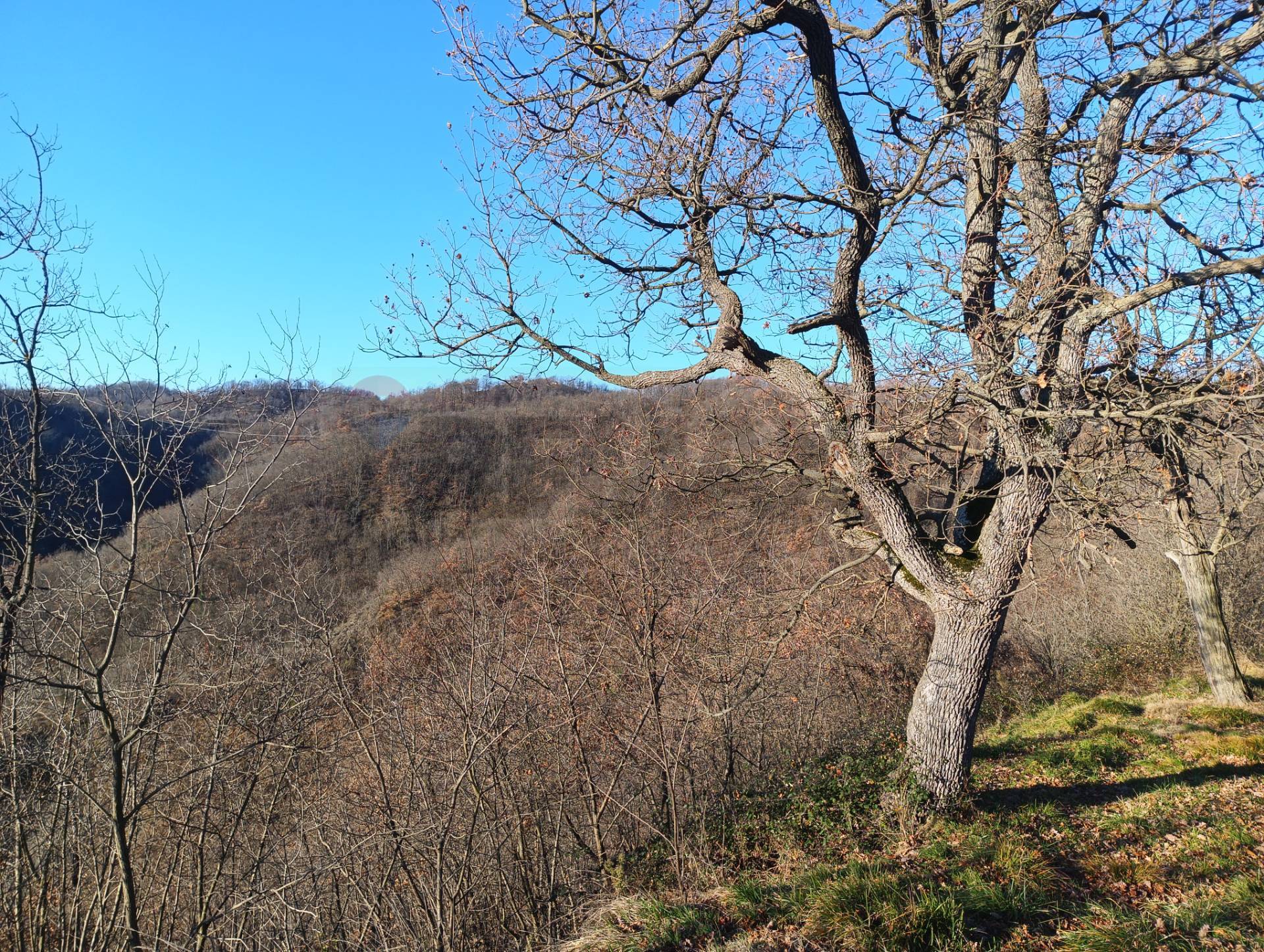 Cascina/Casale in vendita a Cairo Montenotte