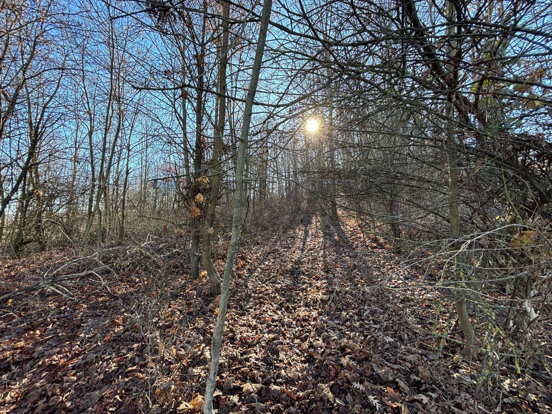 Terreno in vendita a Montezemolo