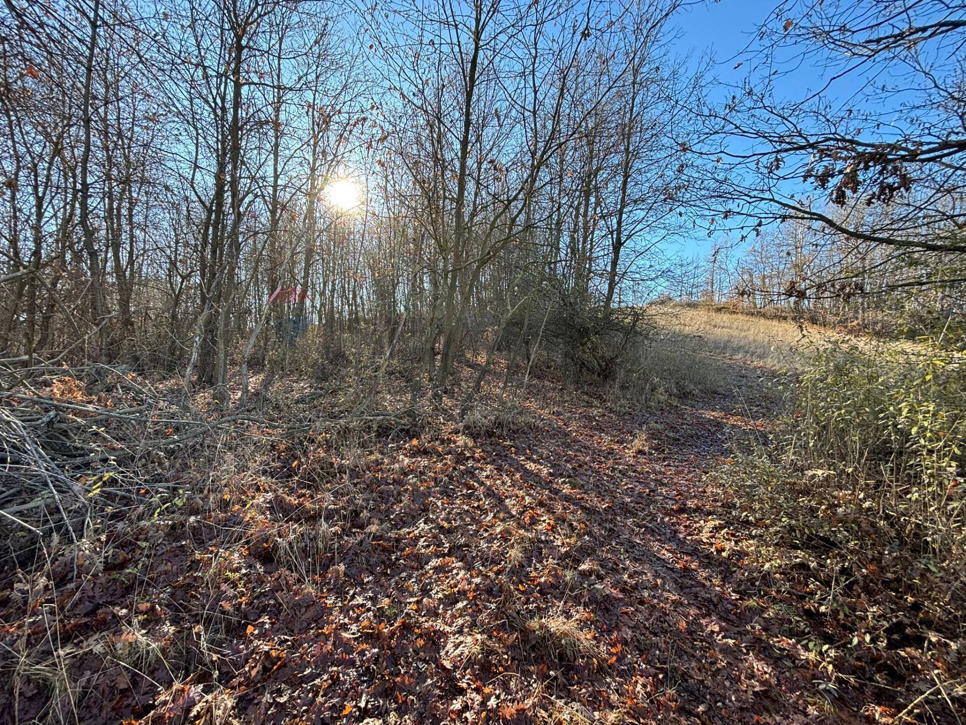 Terreno in vendita a Montezemolo