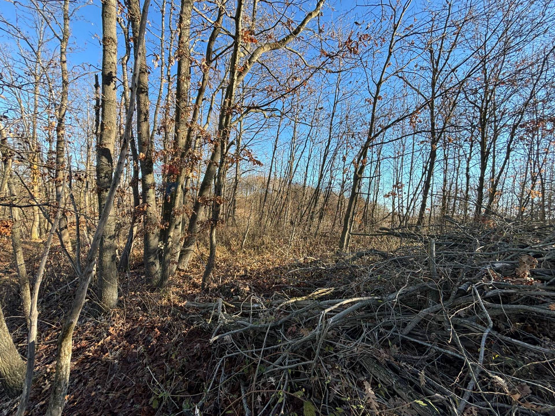 Terreno in vendita a Montezemolo