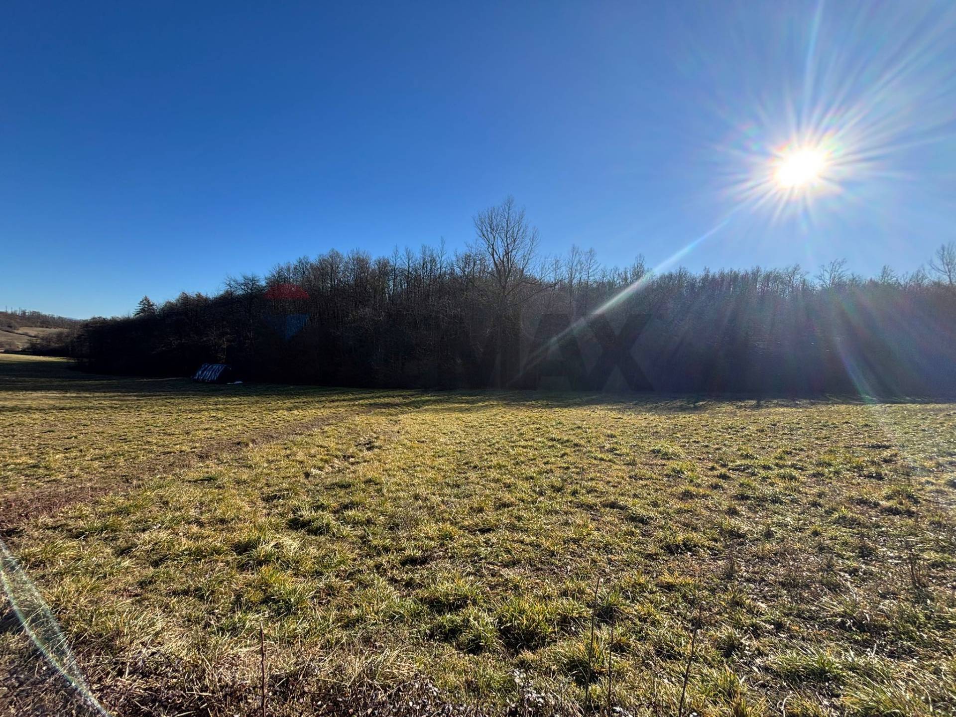 Terreno in vendita a Montezemolo