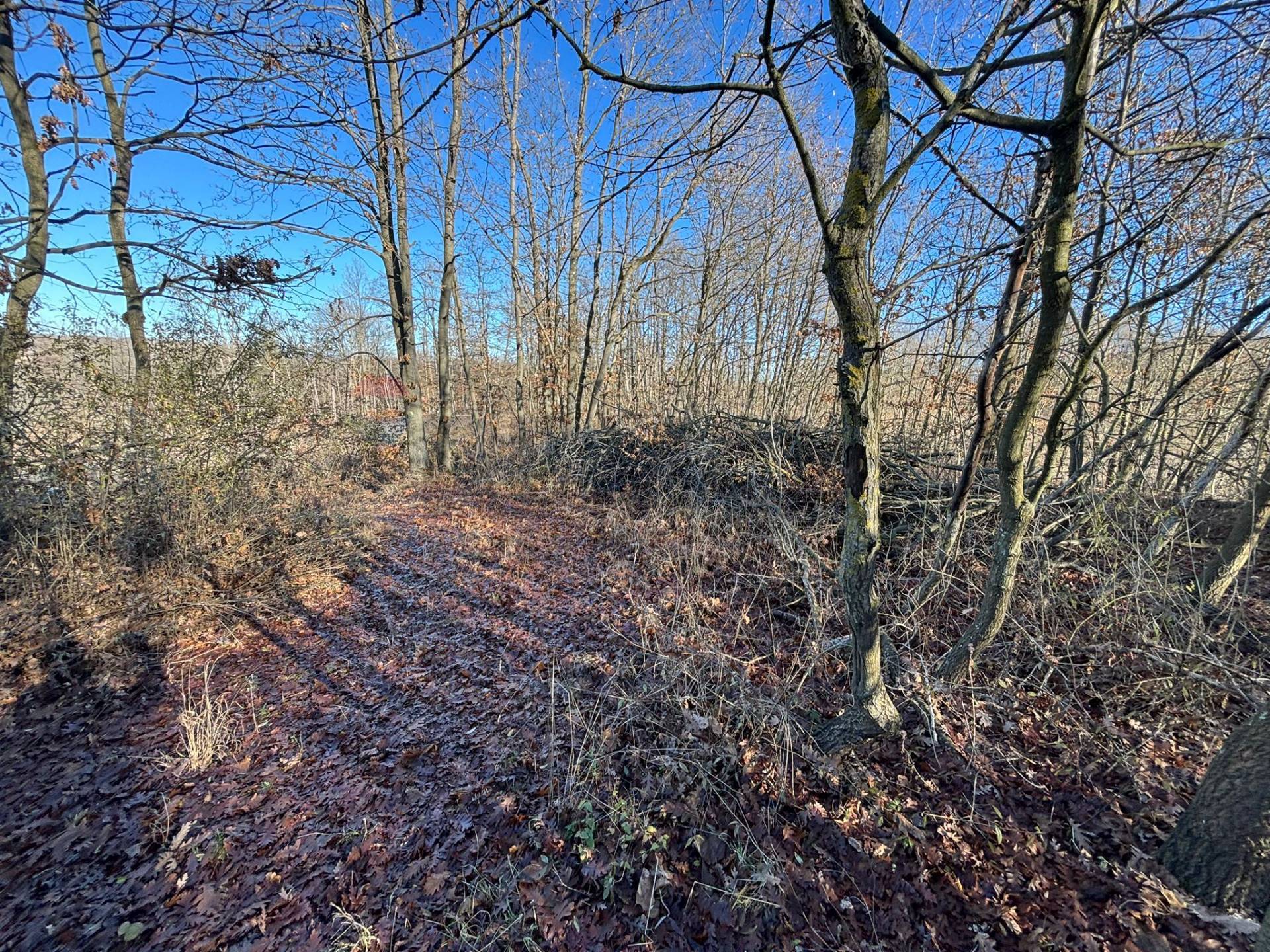Terreno in vendita a Montezemolo